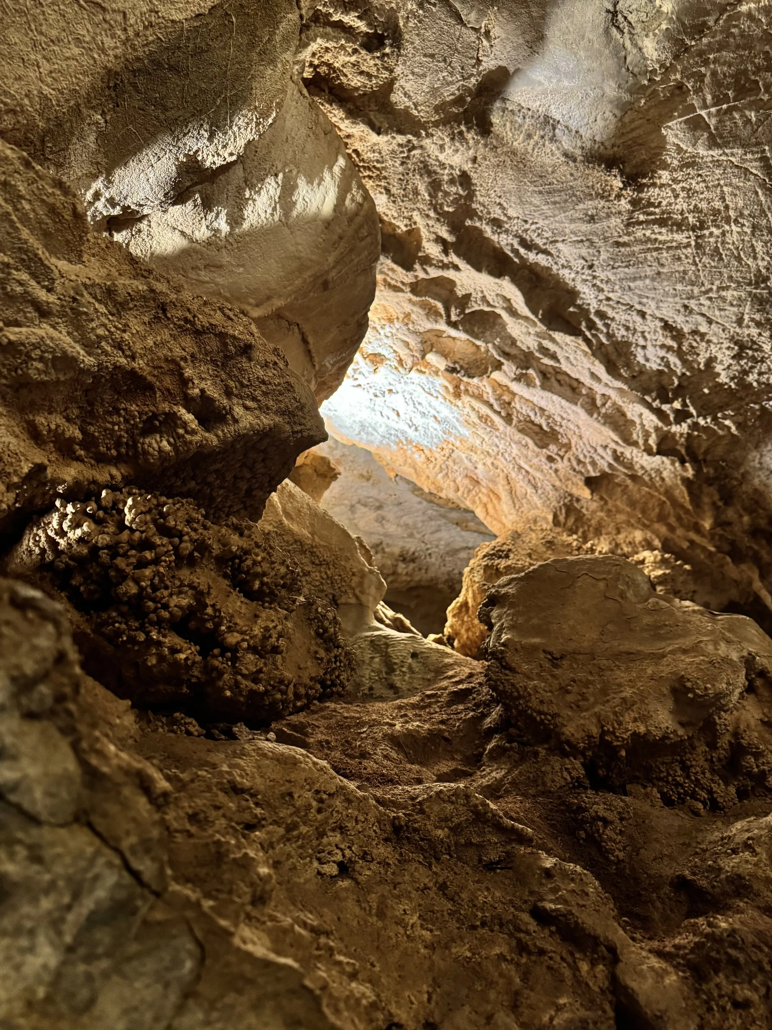 EarthlyExcursions Glenwood Caverns Adv Park (8).jpg