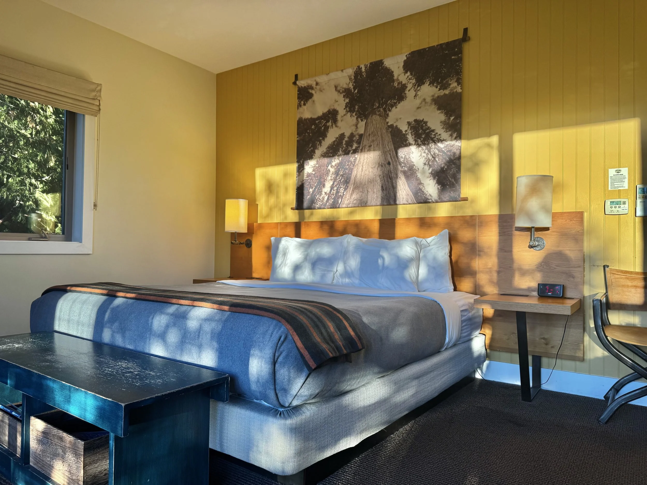 EarthlyExcursions Rush Creek Lodge & Spa Yosemite (22).jpg