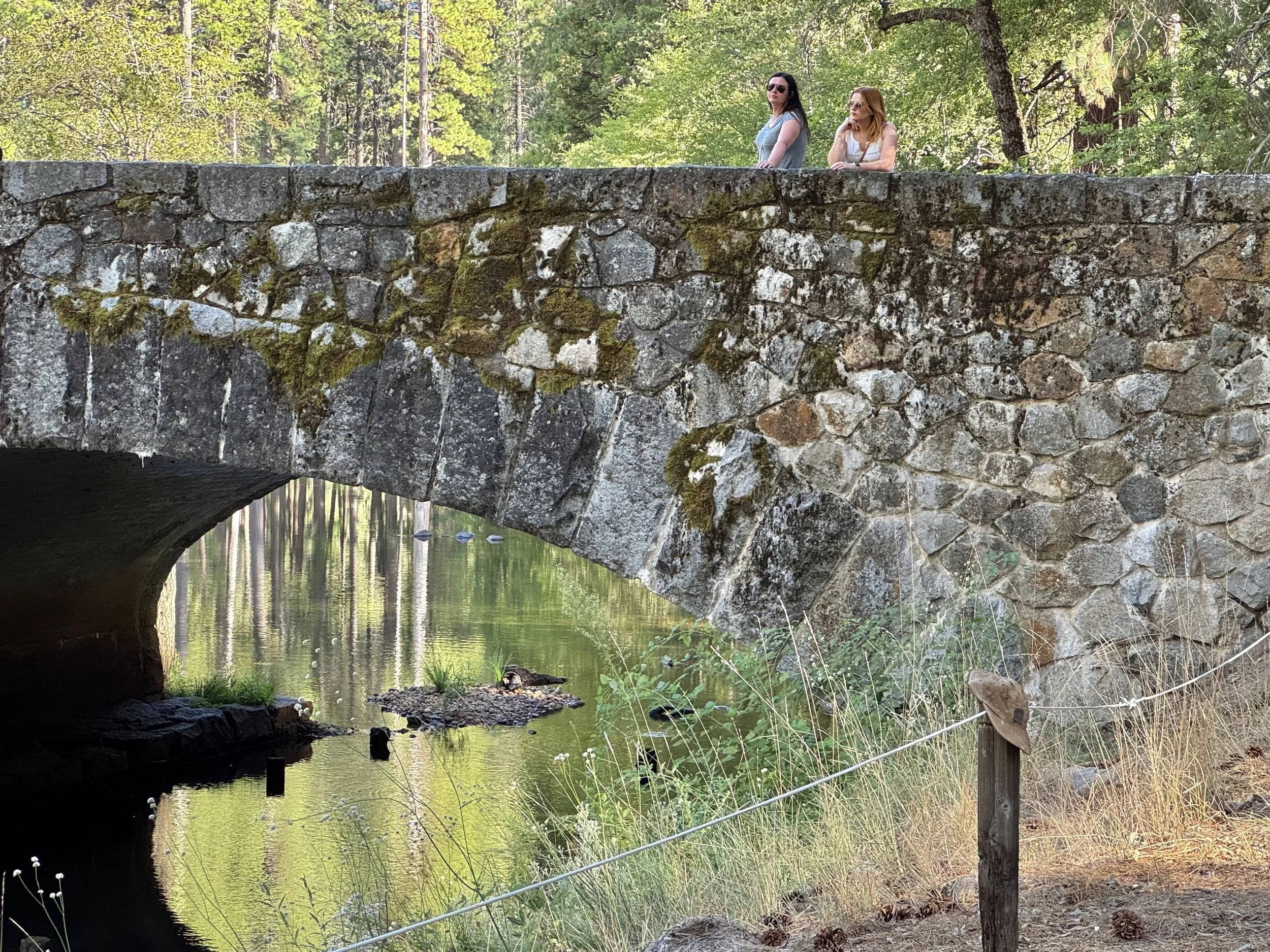 EarthlyExcursions Ahwahnee Yosemite (8).jpg