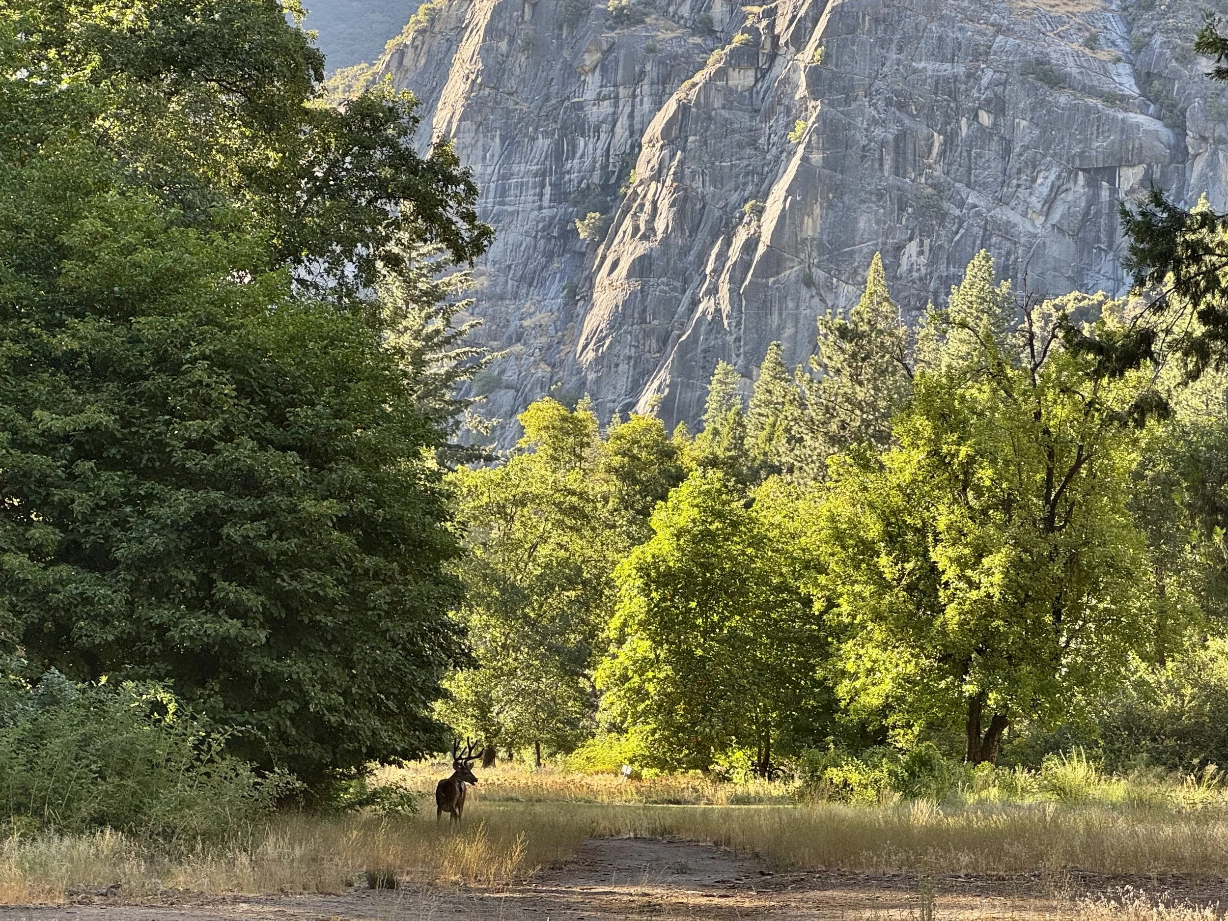 EarthlyExcursions Ahwahnee Yosemite (11).jpg