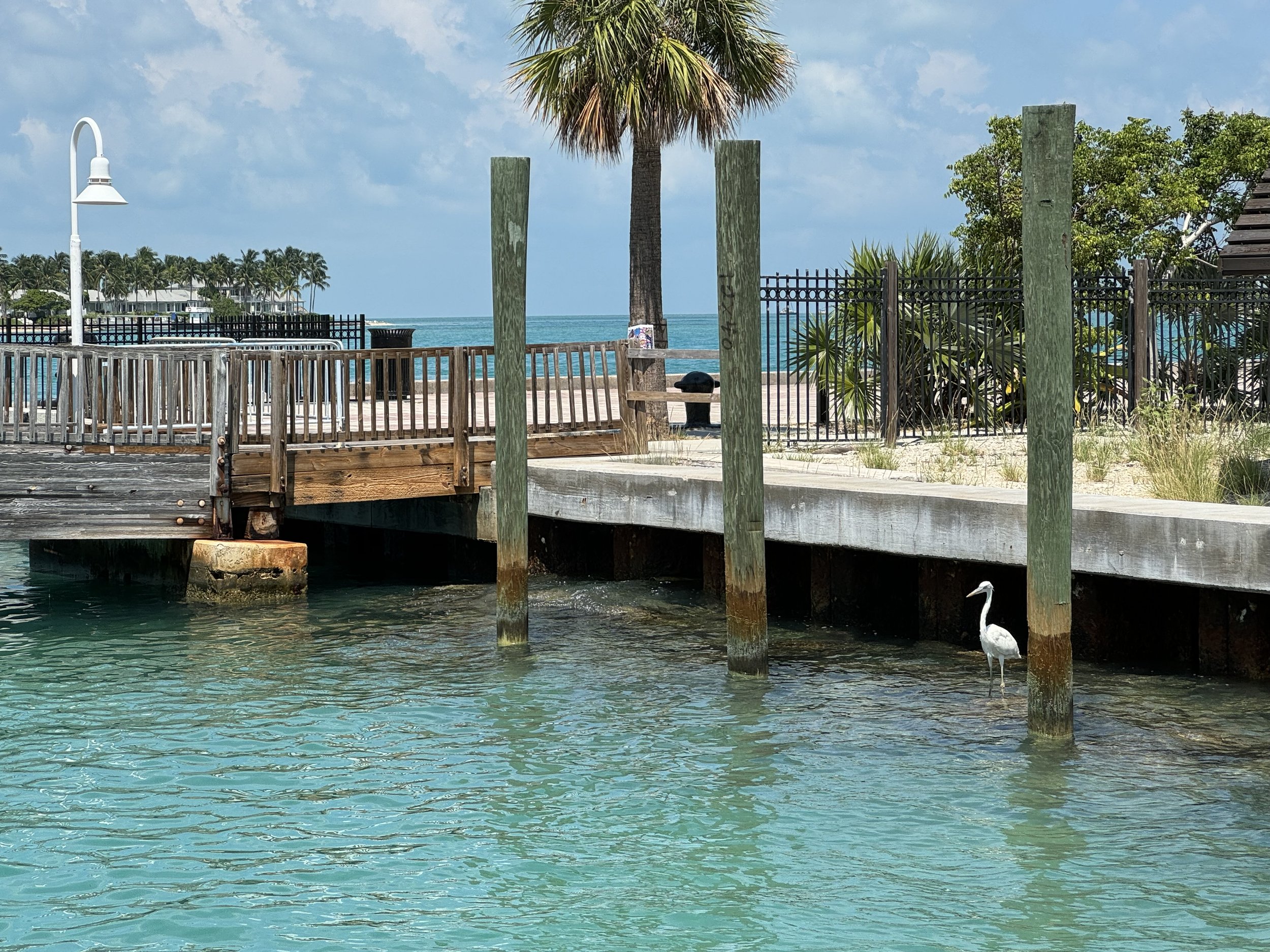 EarthlyExcursions Key West Aquarium (1).jpg