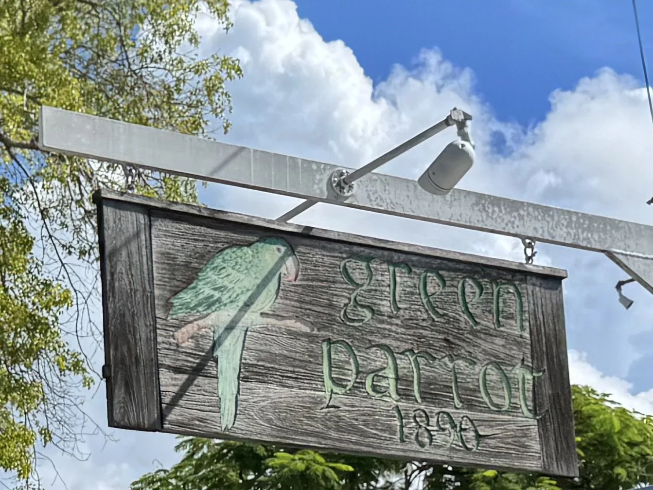 EarthlyExcursions Key West Green Parrot.jpg