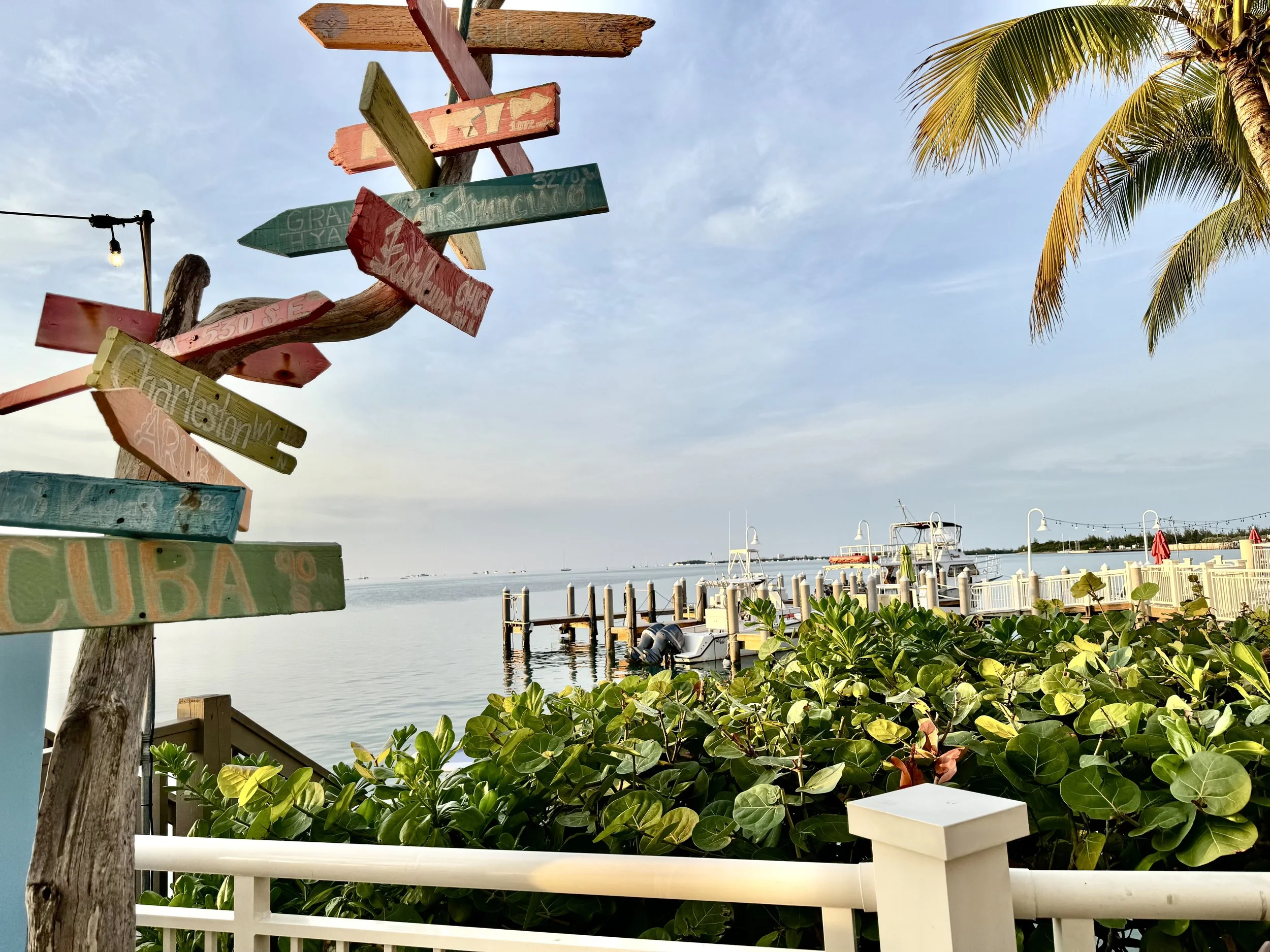 Hyatt Centric EarthlyExcursions Key West (3).jpg