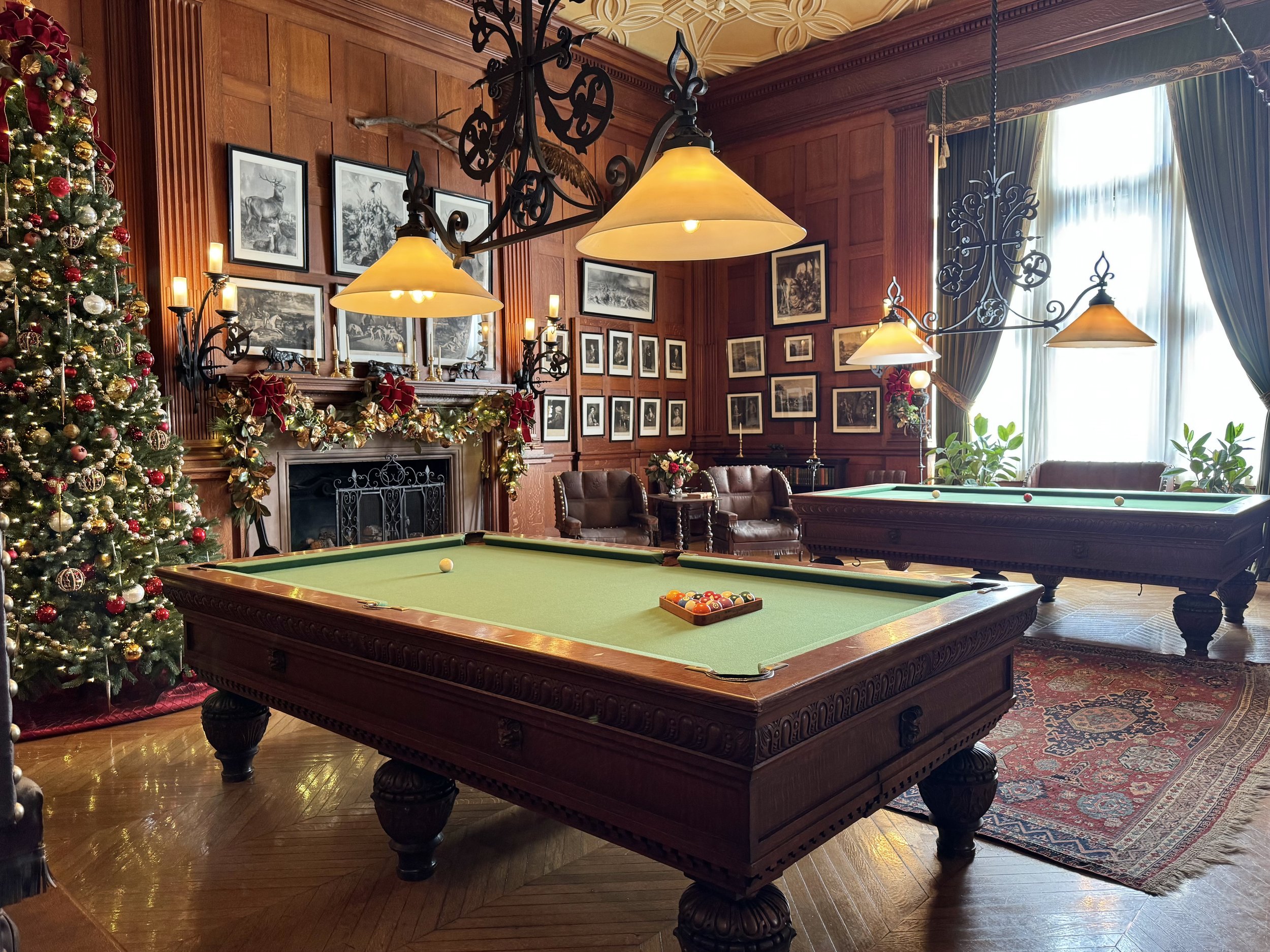 EarthlyExcursions Biltmore Mansion (6).jpg