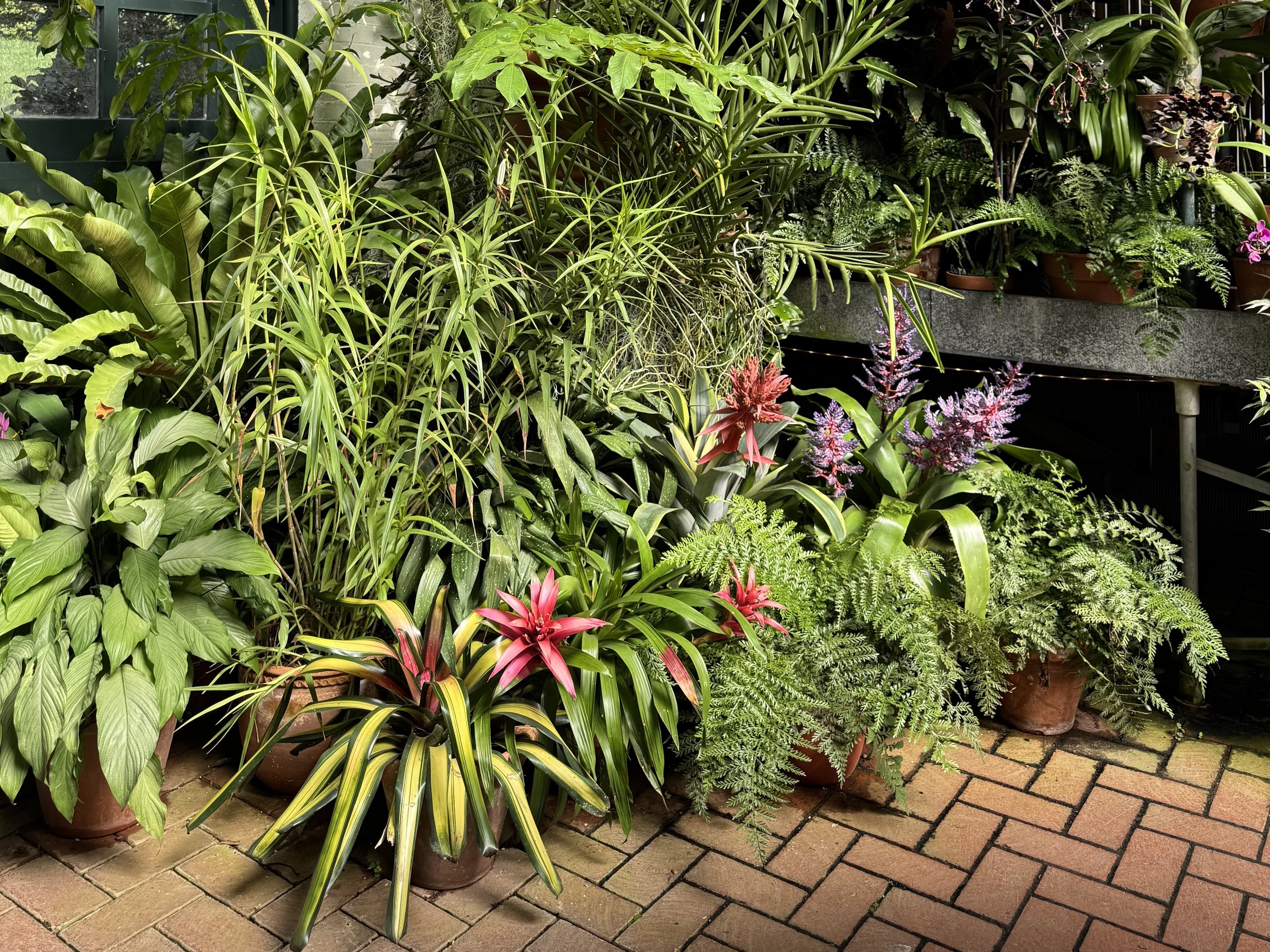 EarthlyExcursions Biltmore (123).jpg