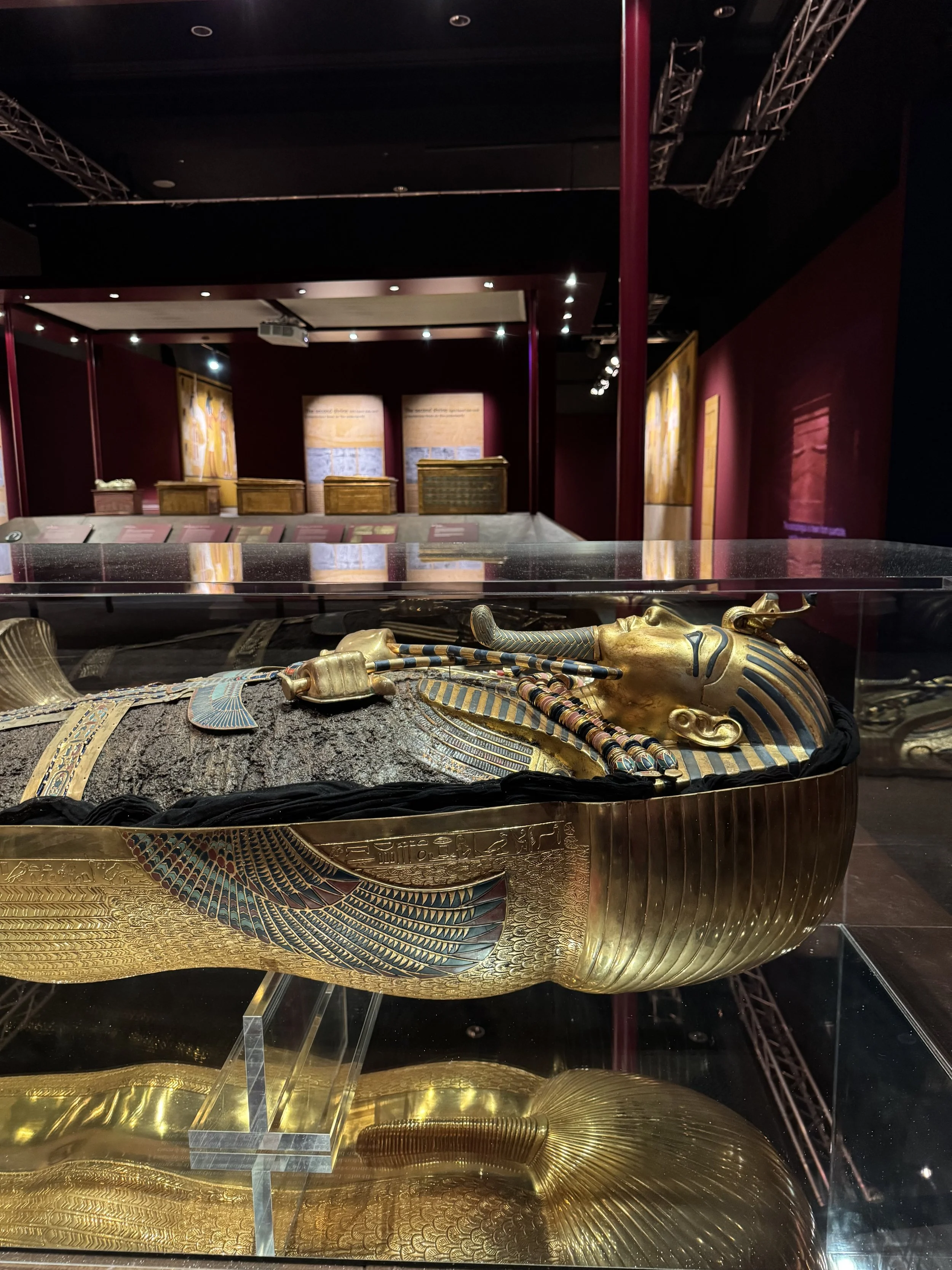 EarthlyExcursions Biltmore King Tut Exhibit (15).jpg