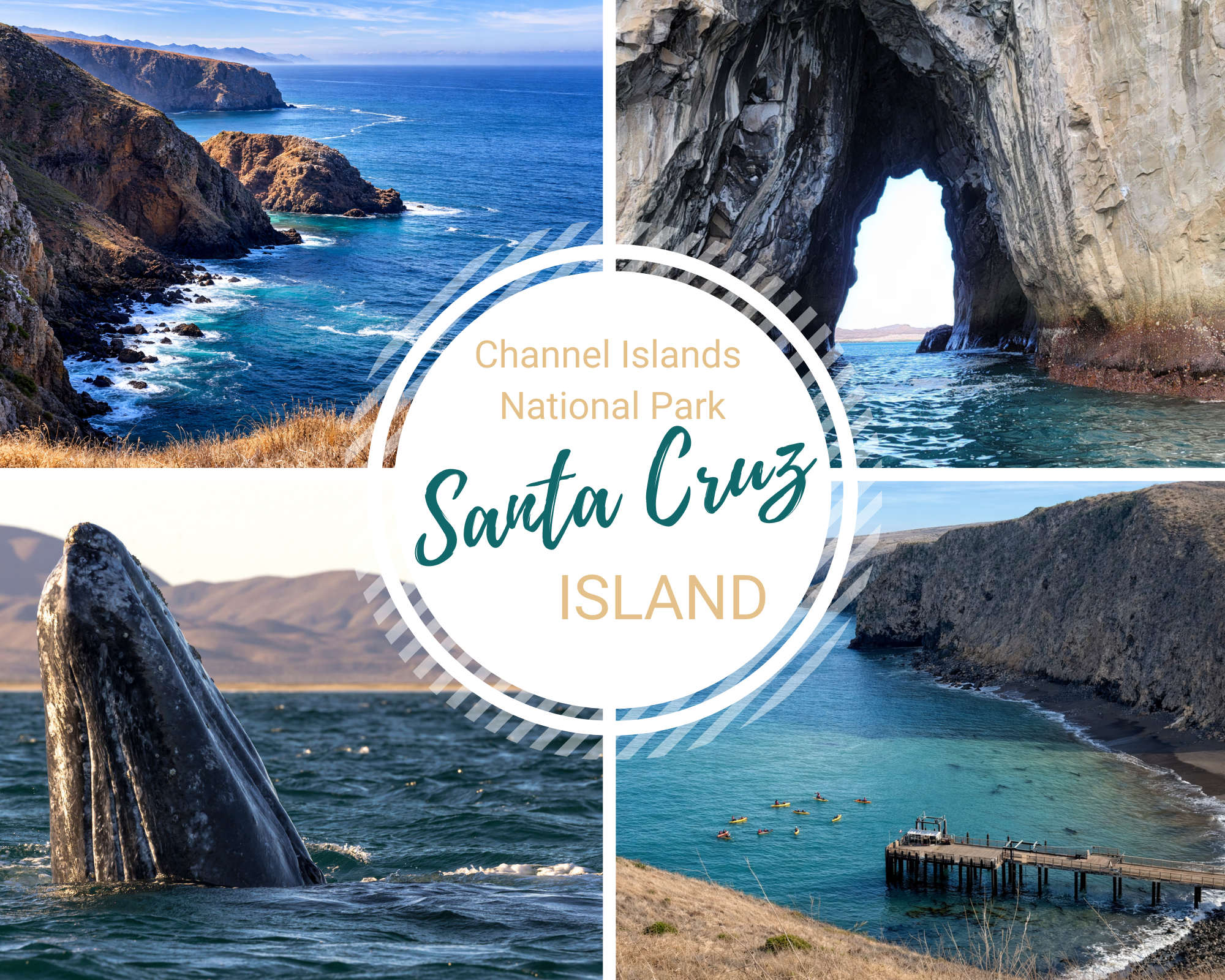 Santa Cruz Island Guide