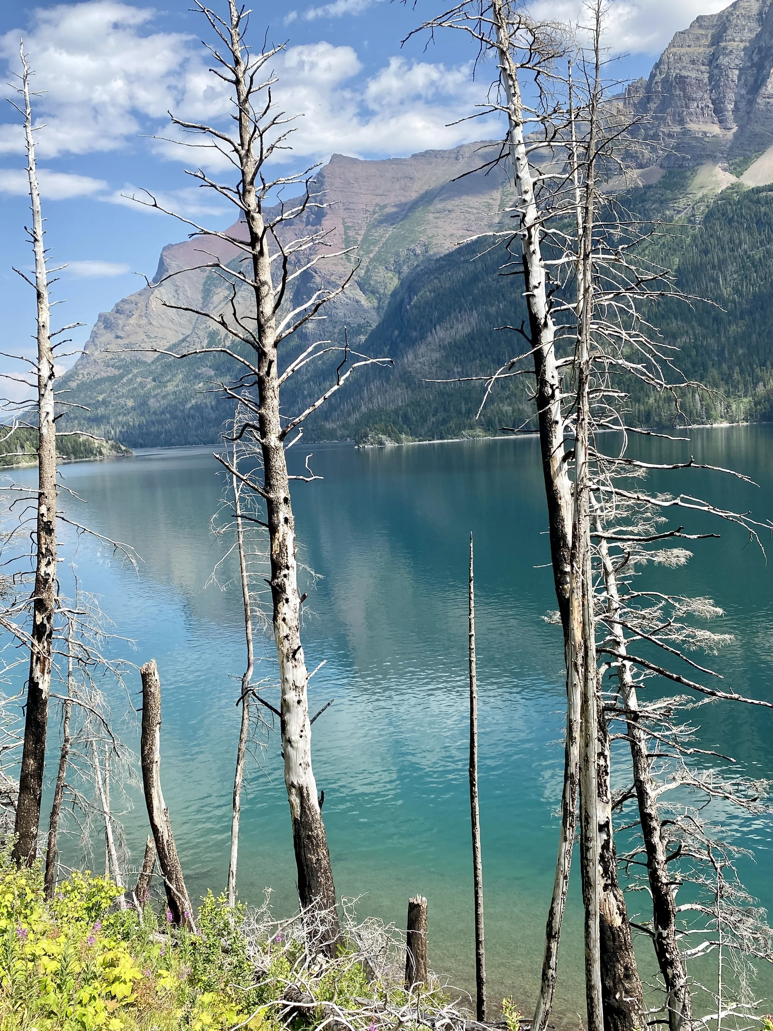 saint mary lake 7.JPG