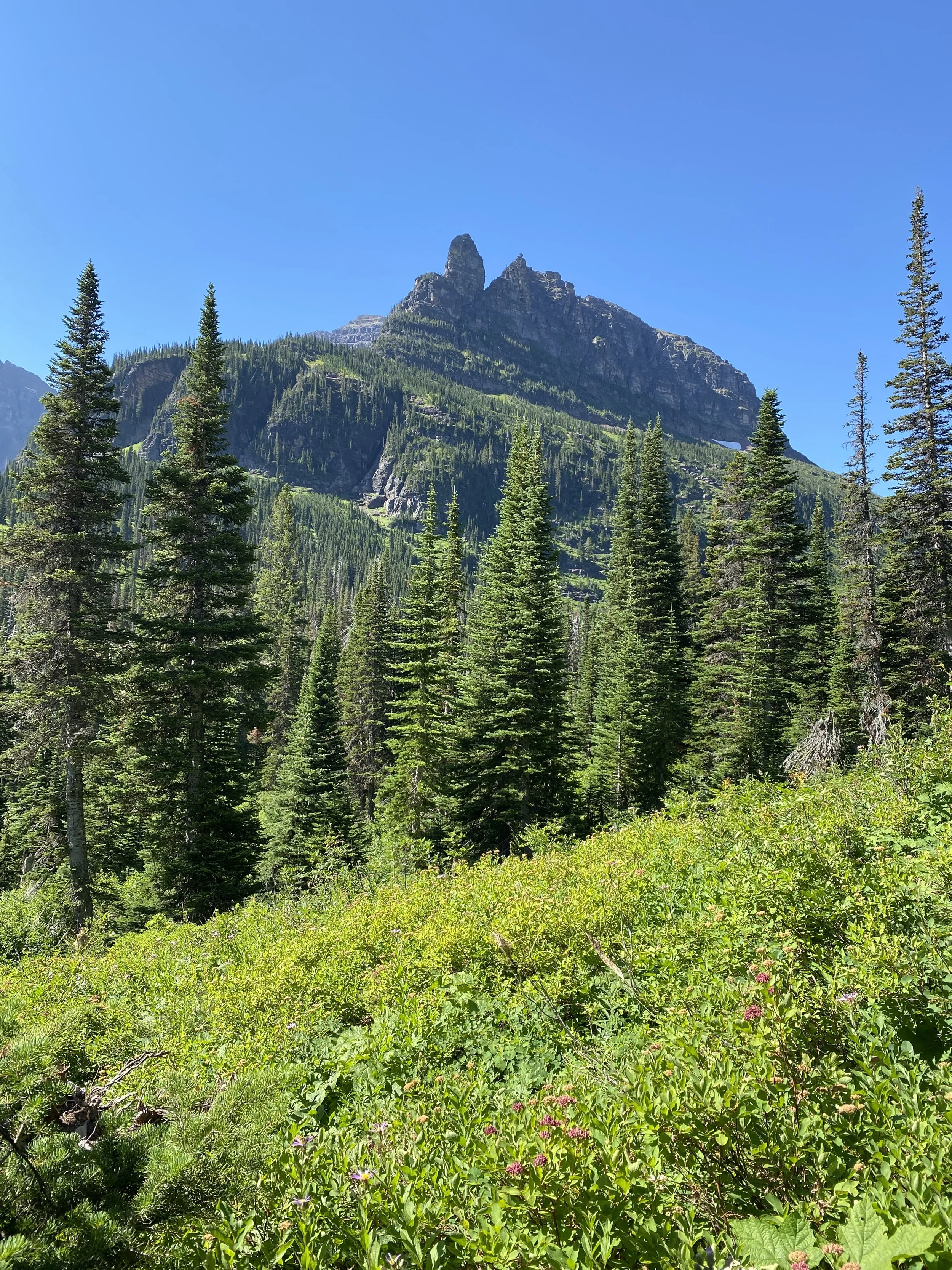 Two medicine lake.JPG