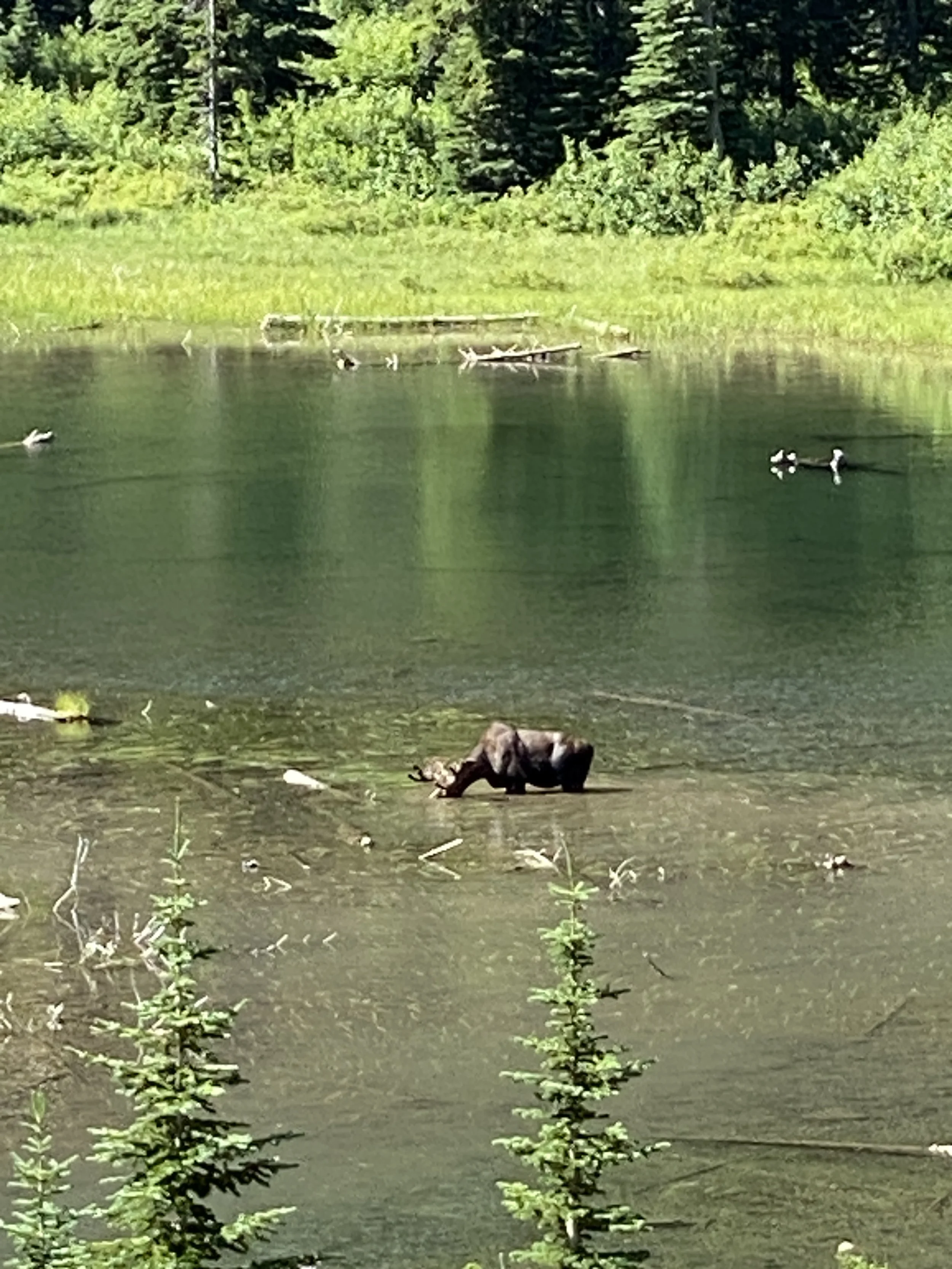 upper two medicine lake.JPG