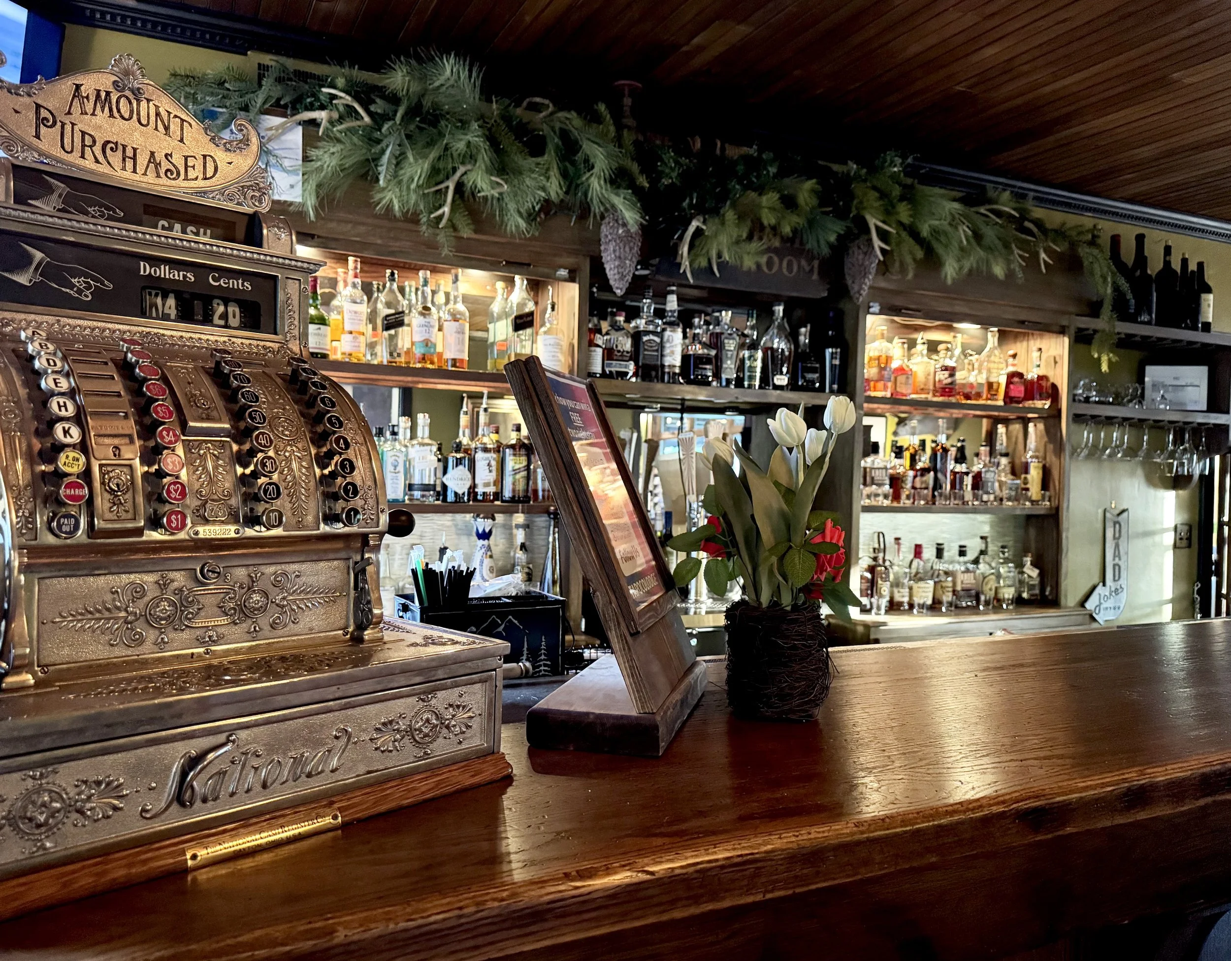 earthlyexcursions-Tapoco-Lodge-NC (45).jpeg