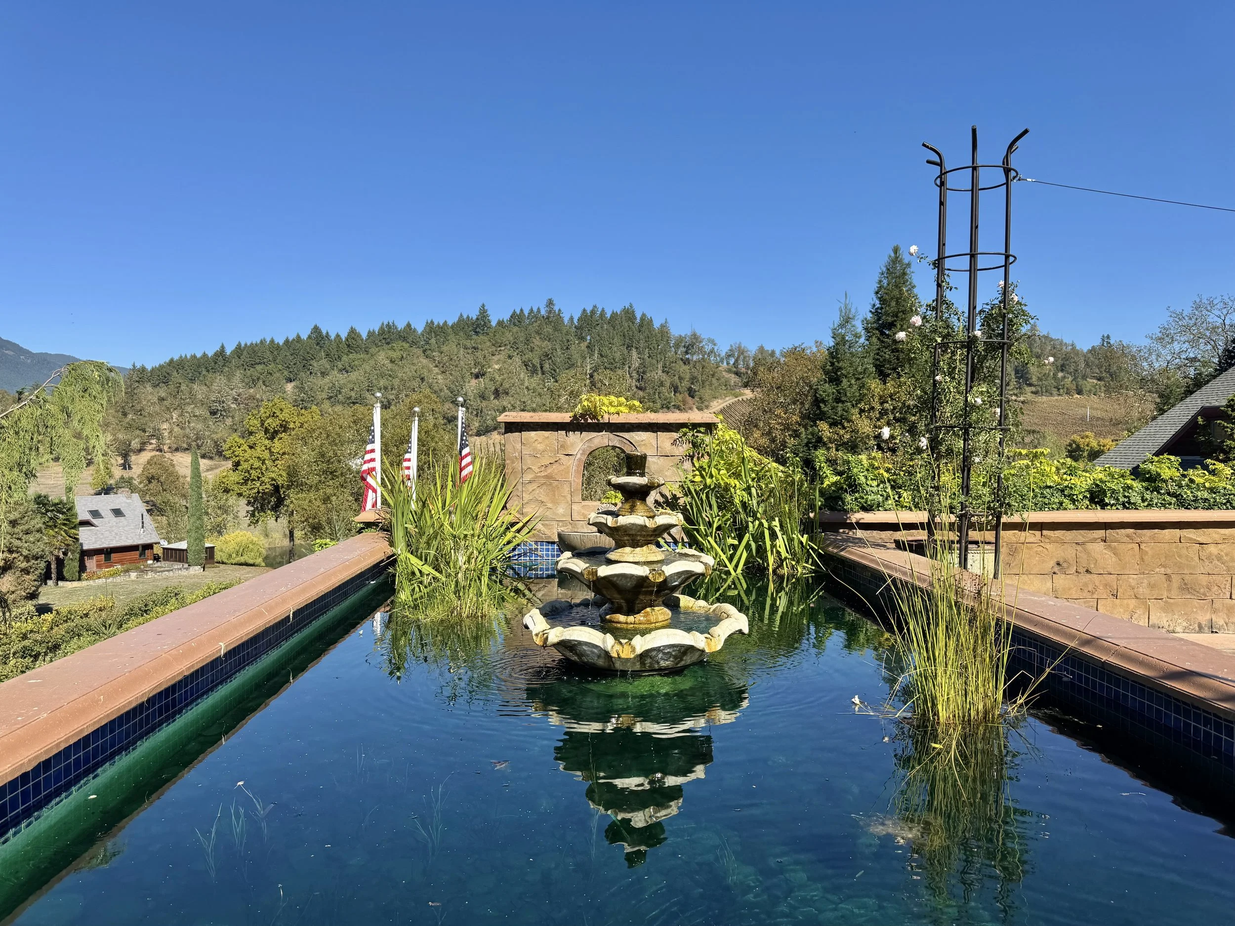 Jen33Travel-Reustle_Vineyard_Oregon (6).jpeg