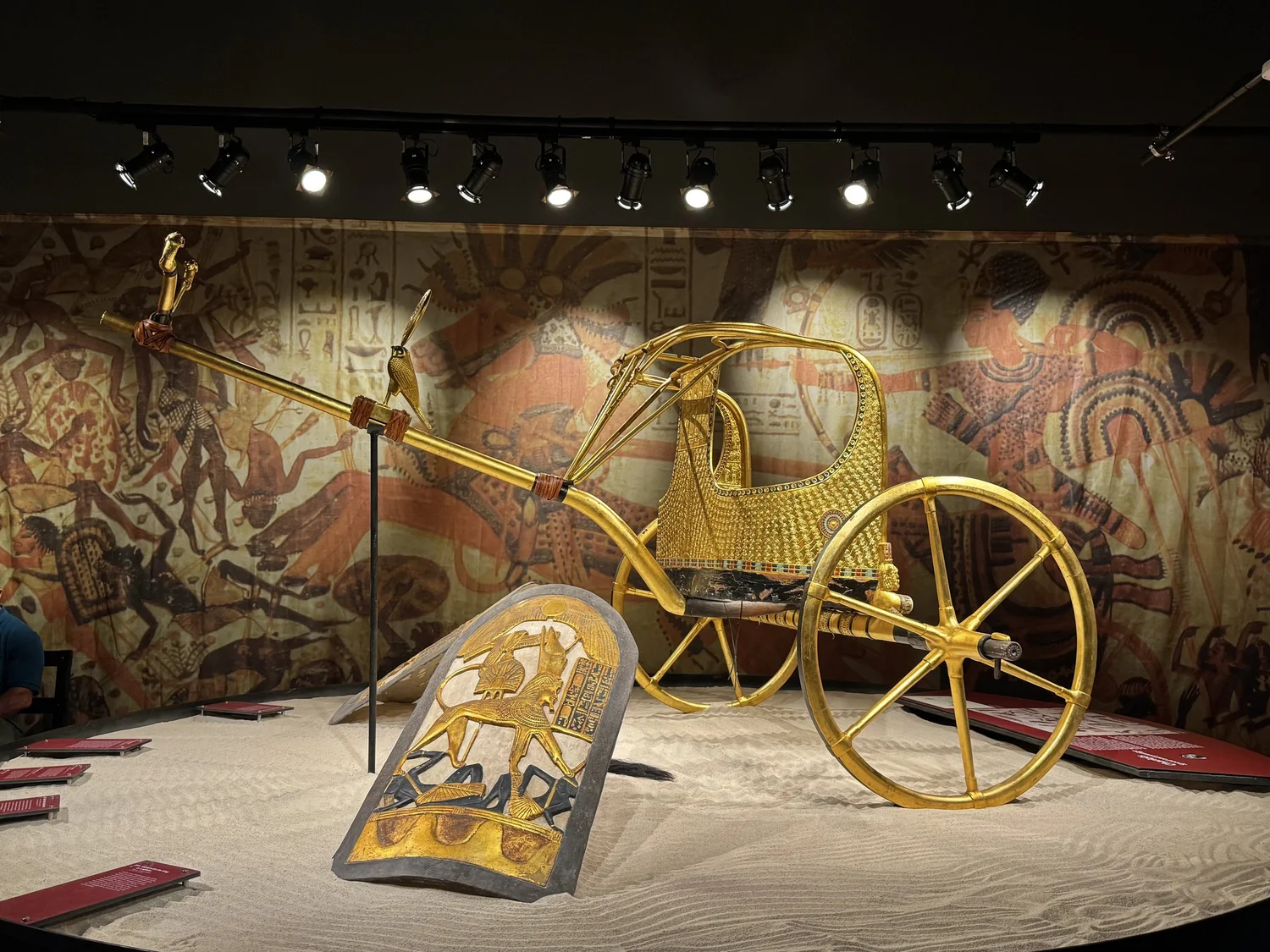 King Tut Exhibit at Biltmore Estate What to Expect &