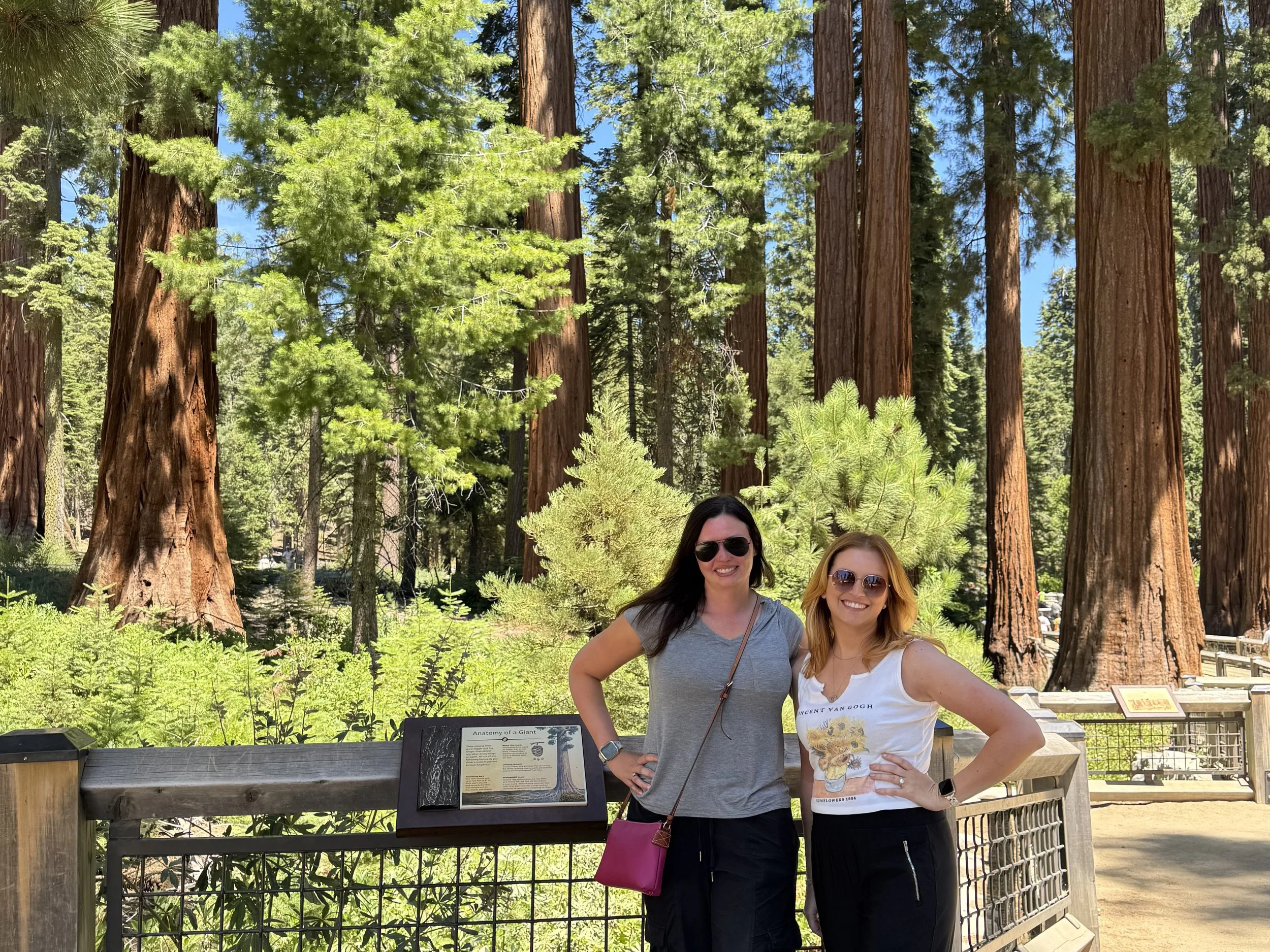 Young women at Mariposa Grove in Yosemite National Park