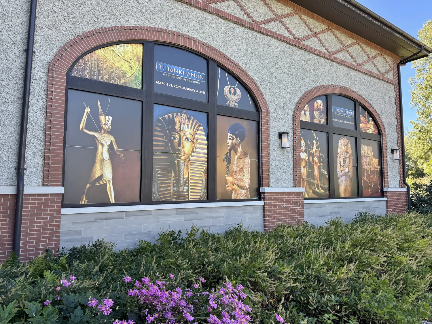 King Tut Exhibit at Biltmore Estate What to Expect &