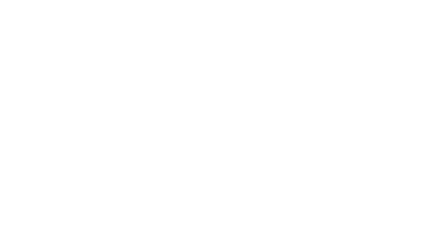 Bice Services LLC