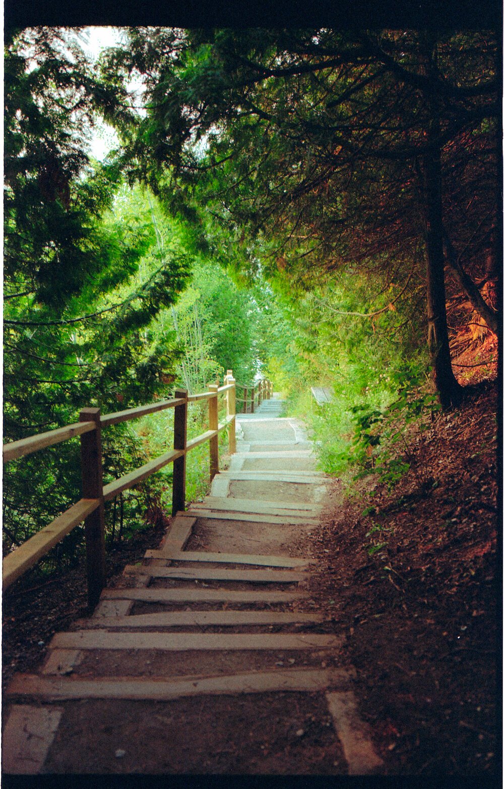 img3007+copy-2.jpg