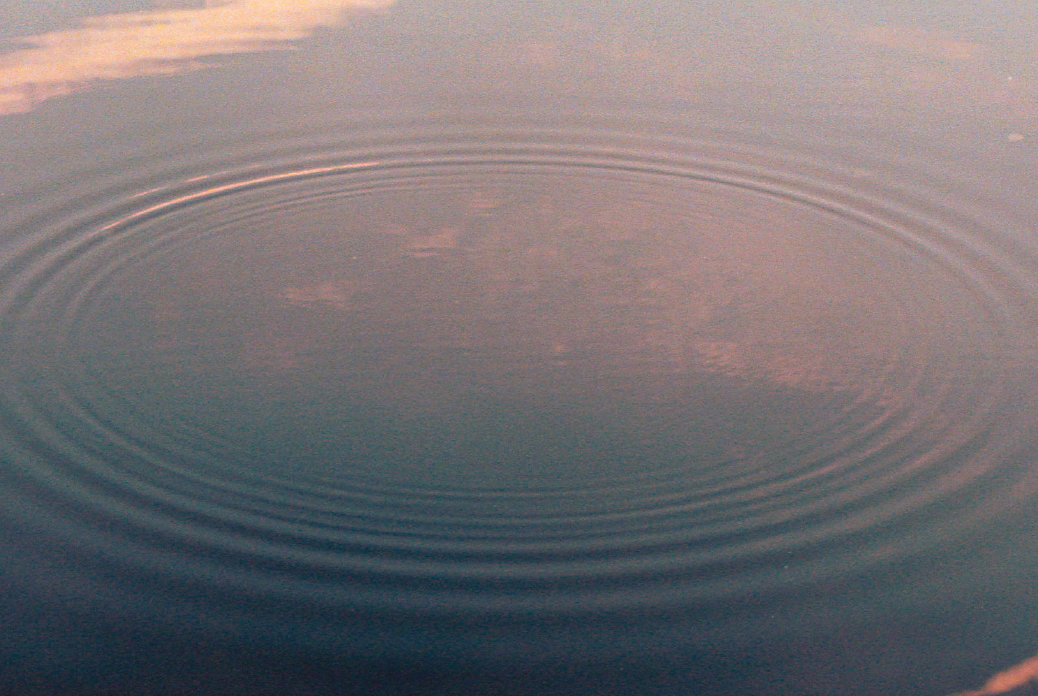 BusinesCards copy-02.png