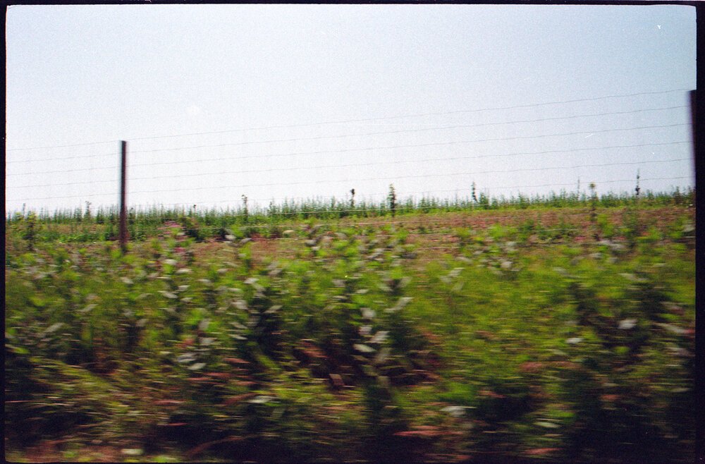 img3004+copy-3.jpg