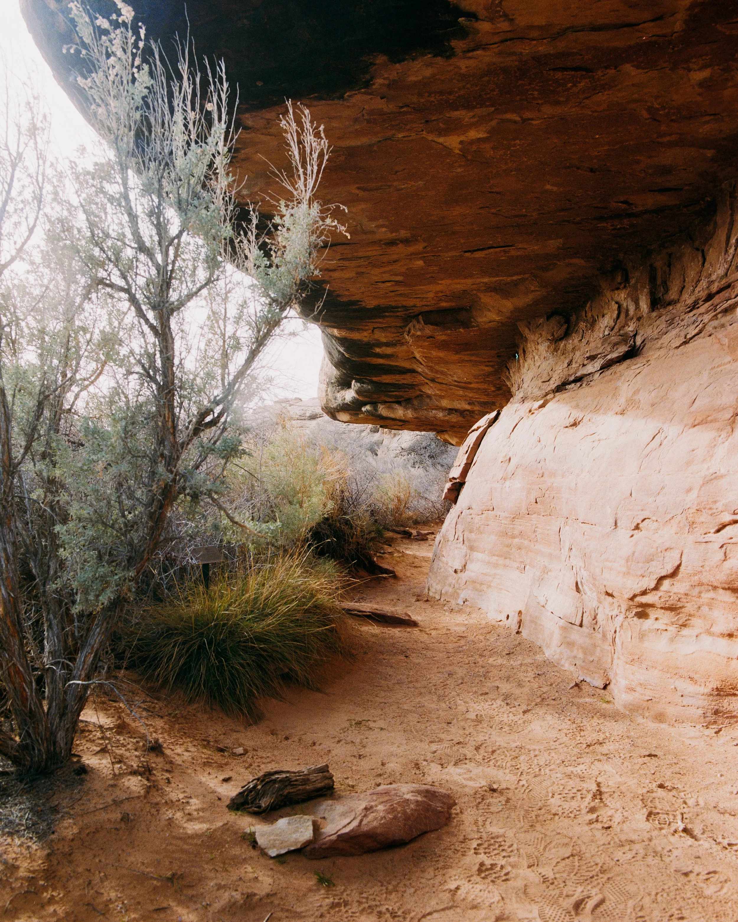 "Cowboy Camp" - OPEN