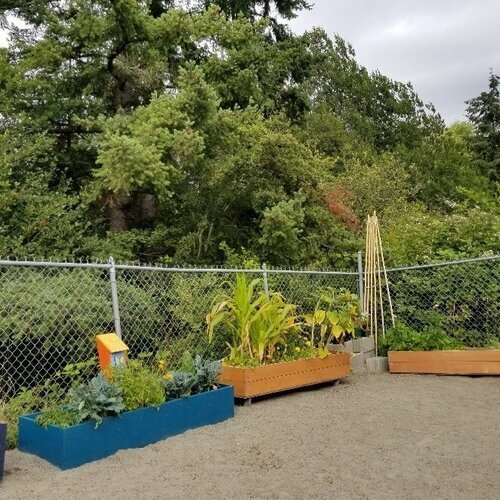 cedar-day-care.jpeg