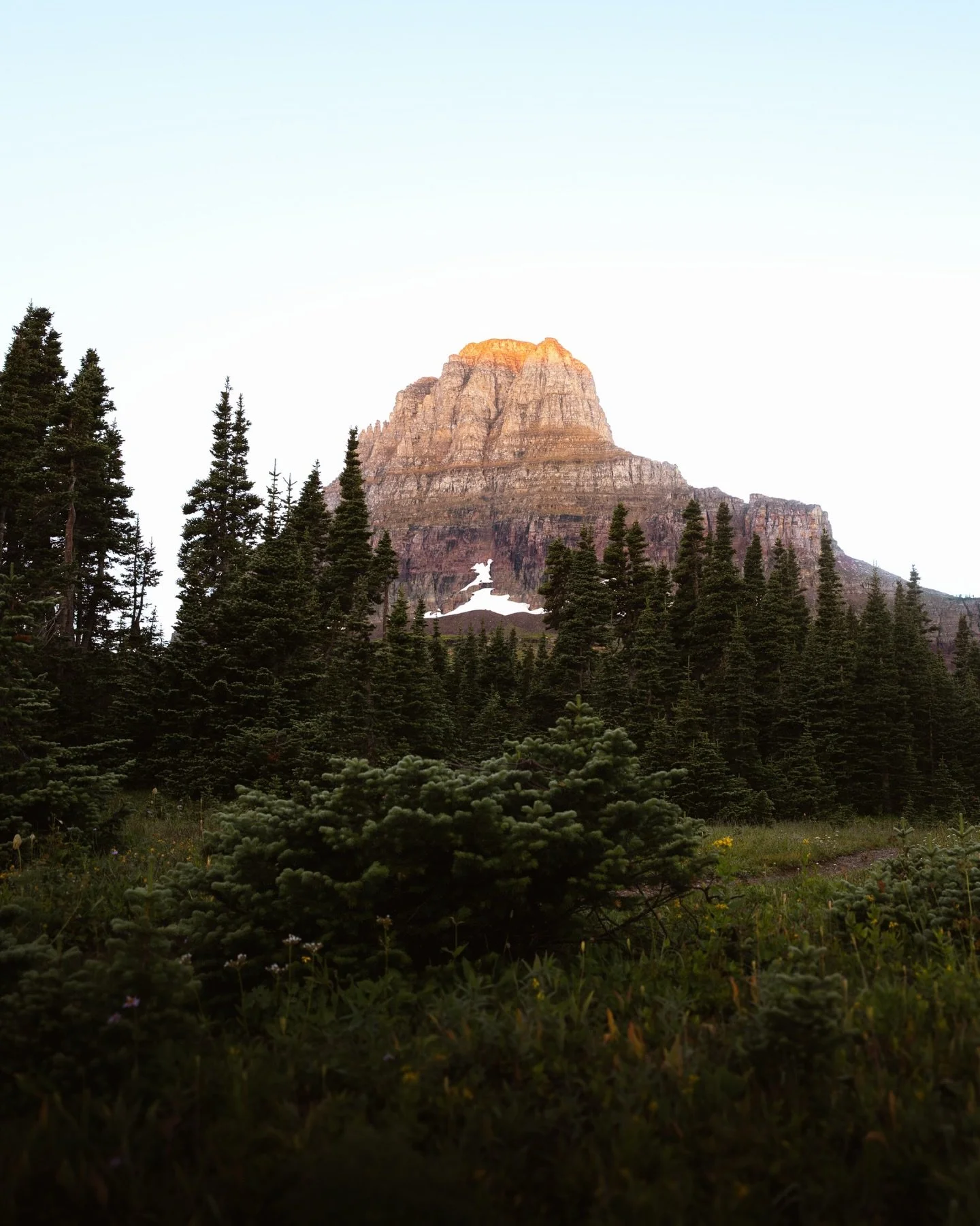Taking the family to Glacier means early mornings, sharing my favorite trails, and listening to lots of yacht rock ⛰️