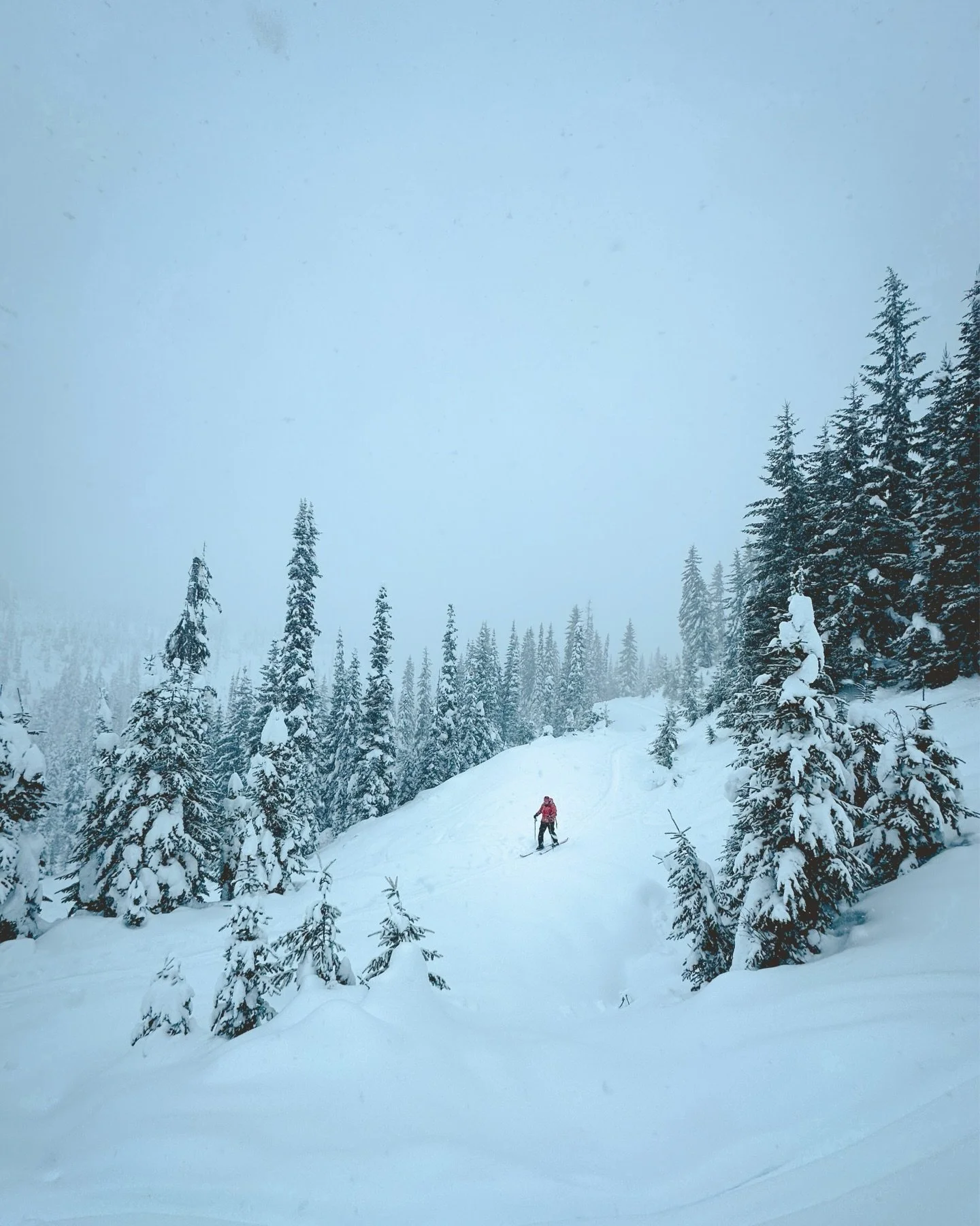 An ideal touring day last winter with more snow than we bargained for. Fingers crossed for more days like this soon ❄️