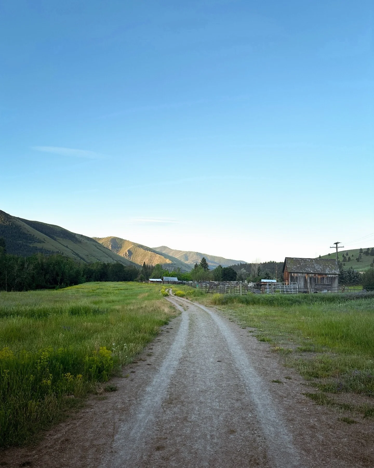 We love her 💕 Happy 406