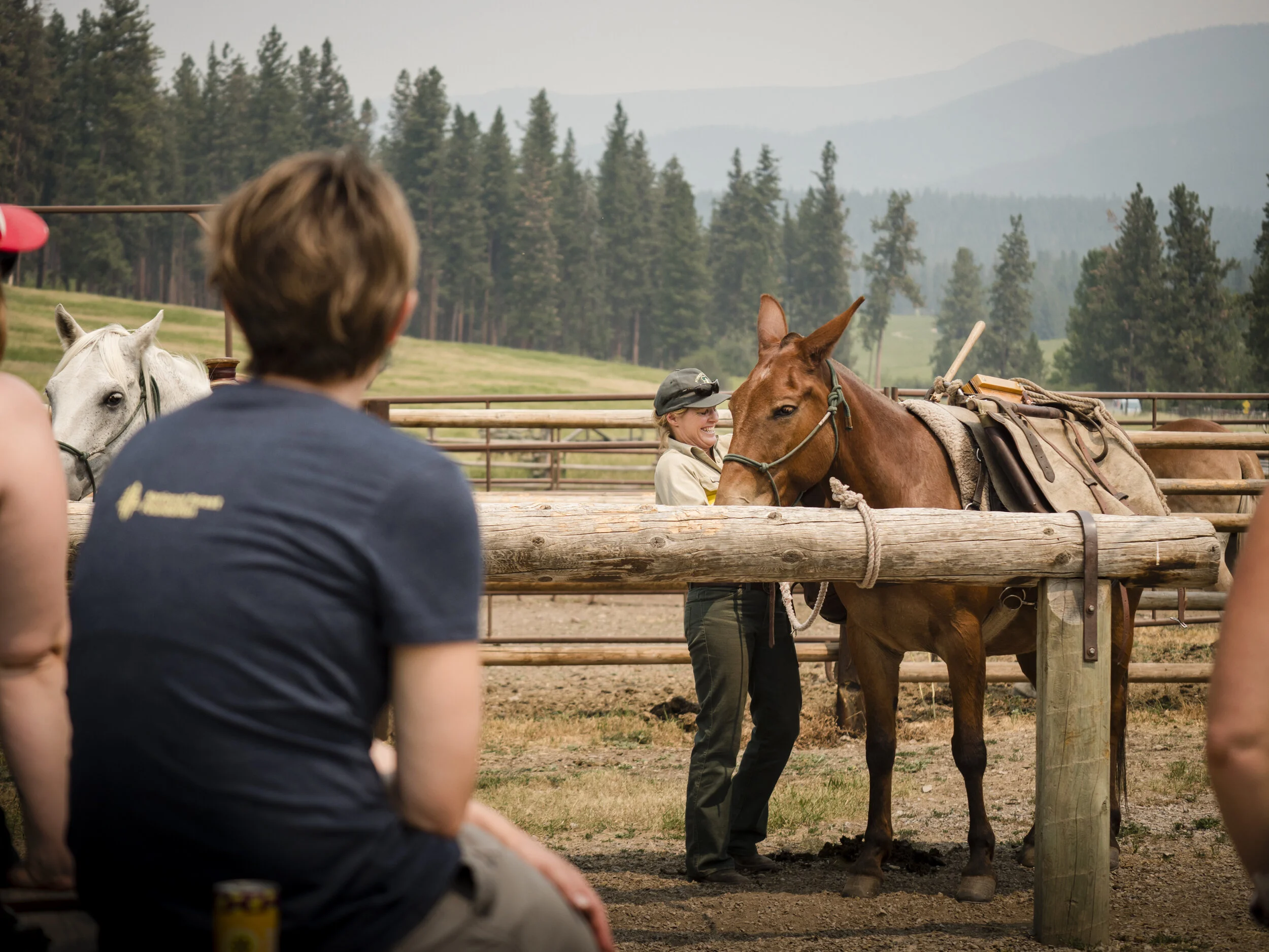 People at an outdoor training or riding arena with horses, trees, and mountains in the background.