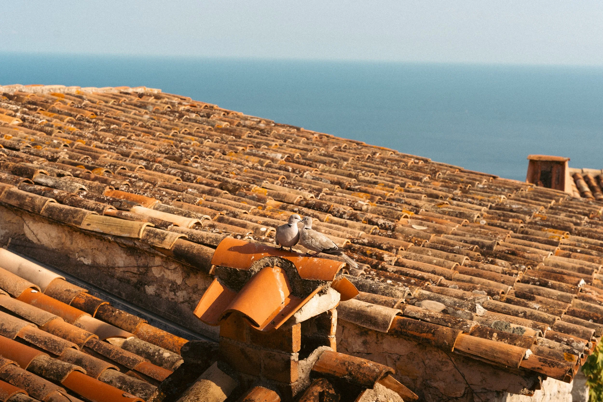 Two pigeons perched on a tile roof with the sea in the background.