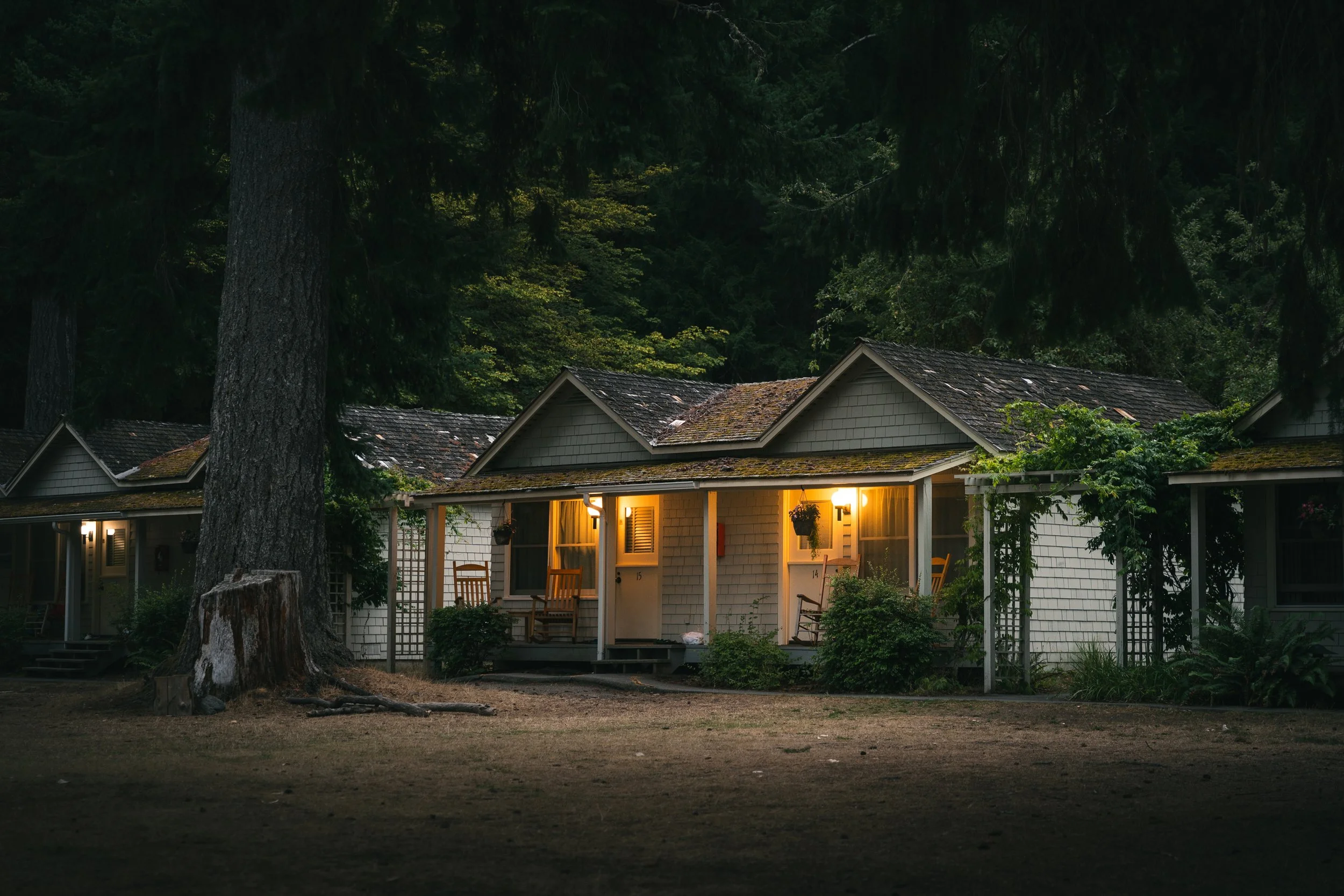 Nighttime view of a house with lit porch lights, surrounded by tall trees and forest, with a large tree trunk in the foreground.