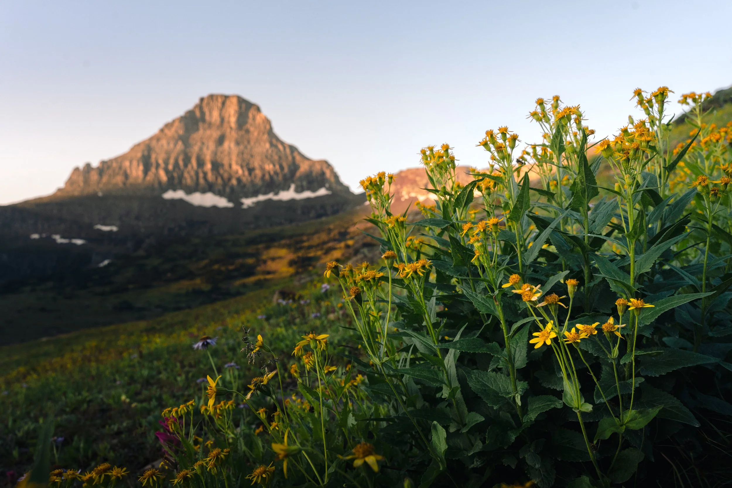 momma glacier trip-7.jpg