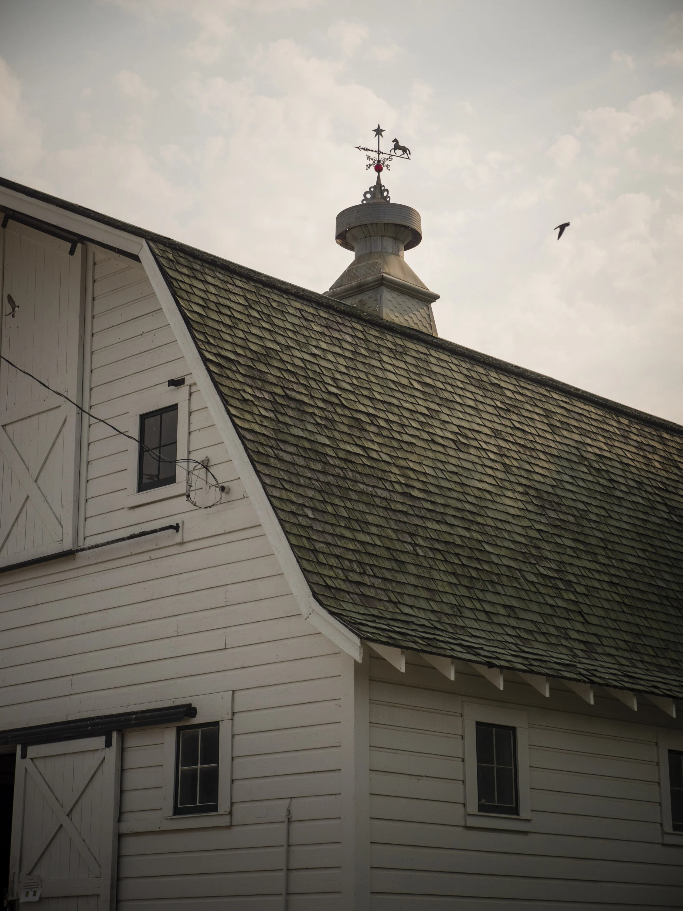 A white barn with a sloped roof covered in mossy shingles, featuring several small windows and a sliding barn door.