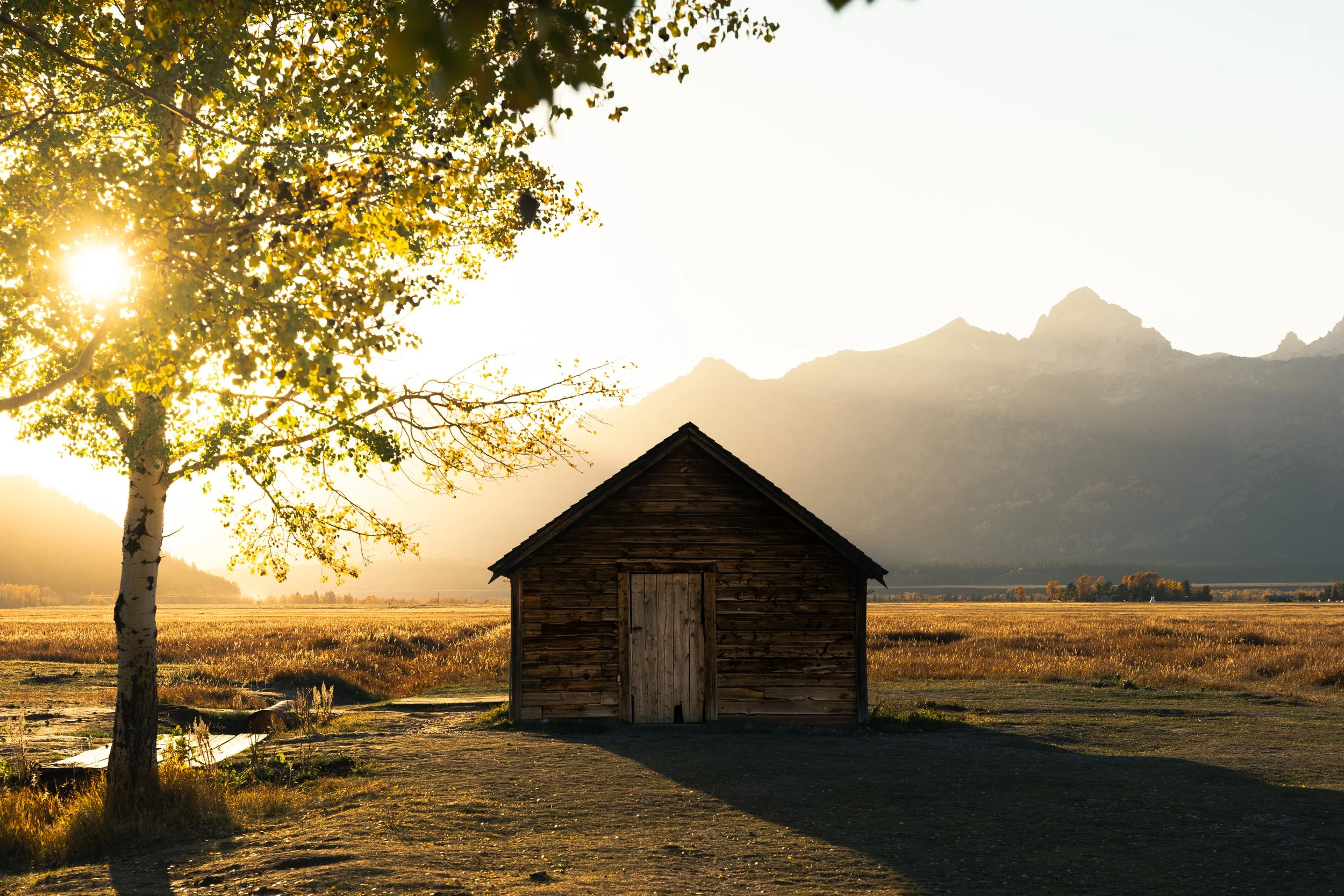 A small wooden shed in a field with a tree on the left, mountains in the background, and the sun shining through the leaves, creating a warm glow.