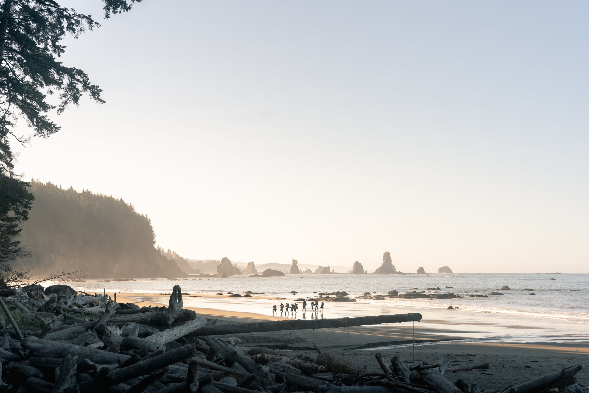 A group of people walking along the shoreline of a beach with driftwood and rocks in the foreground, tall trees to the left, rocky formations in the distance, and a clear sky.