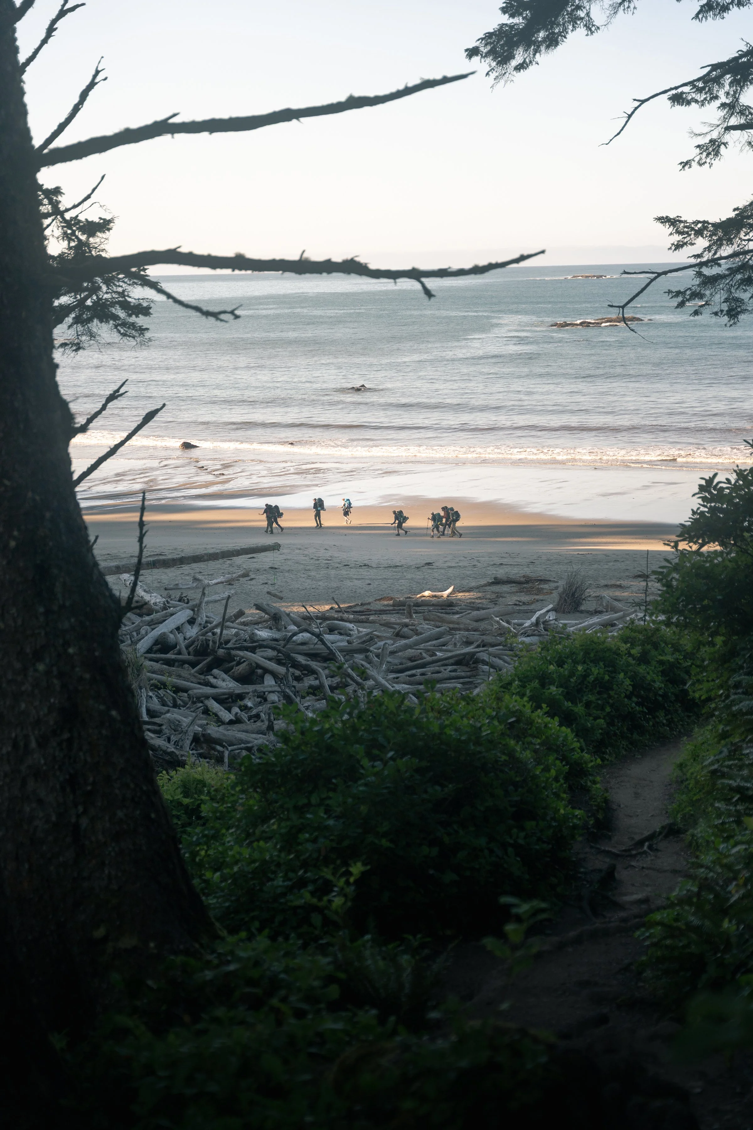 Scenic view of a beach with trees framing the scene, a group of hikers walking along a trail near driftwood and rocks, with the ocean and islands in the background on a clear day.