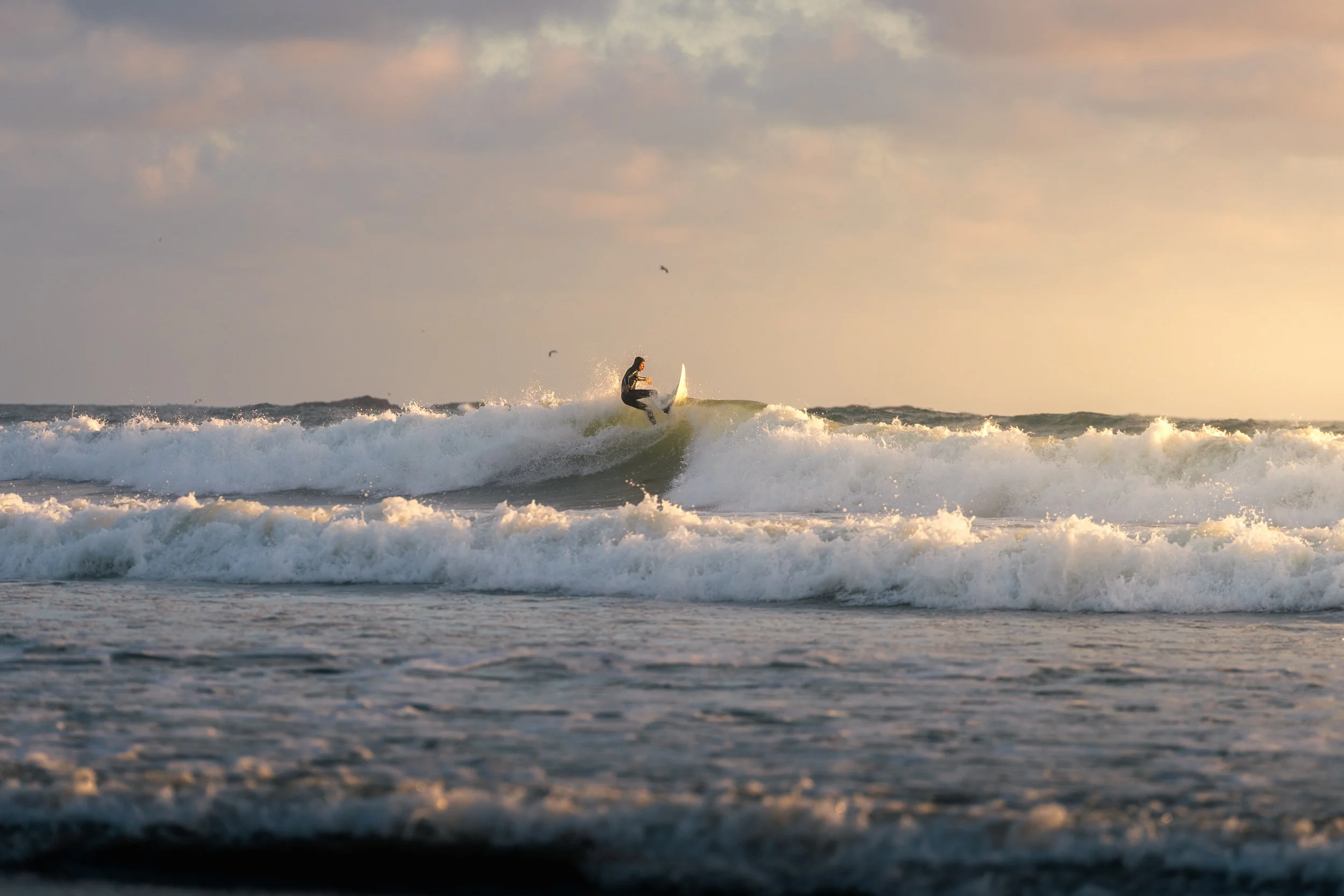 A person surfing on a wave in the ocean during sunset, with a few birds flying in the sky.