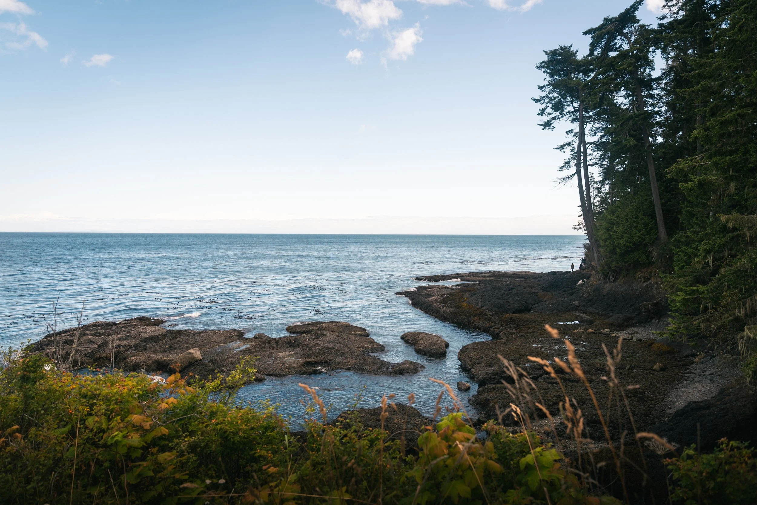 A scenic view of a rocky shoreline with a large body of water, dense evergreen trees on the right, and a mostly clear blue sky with a few clouds.