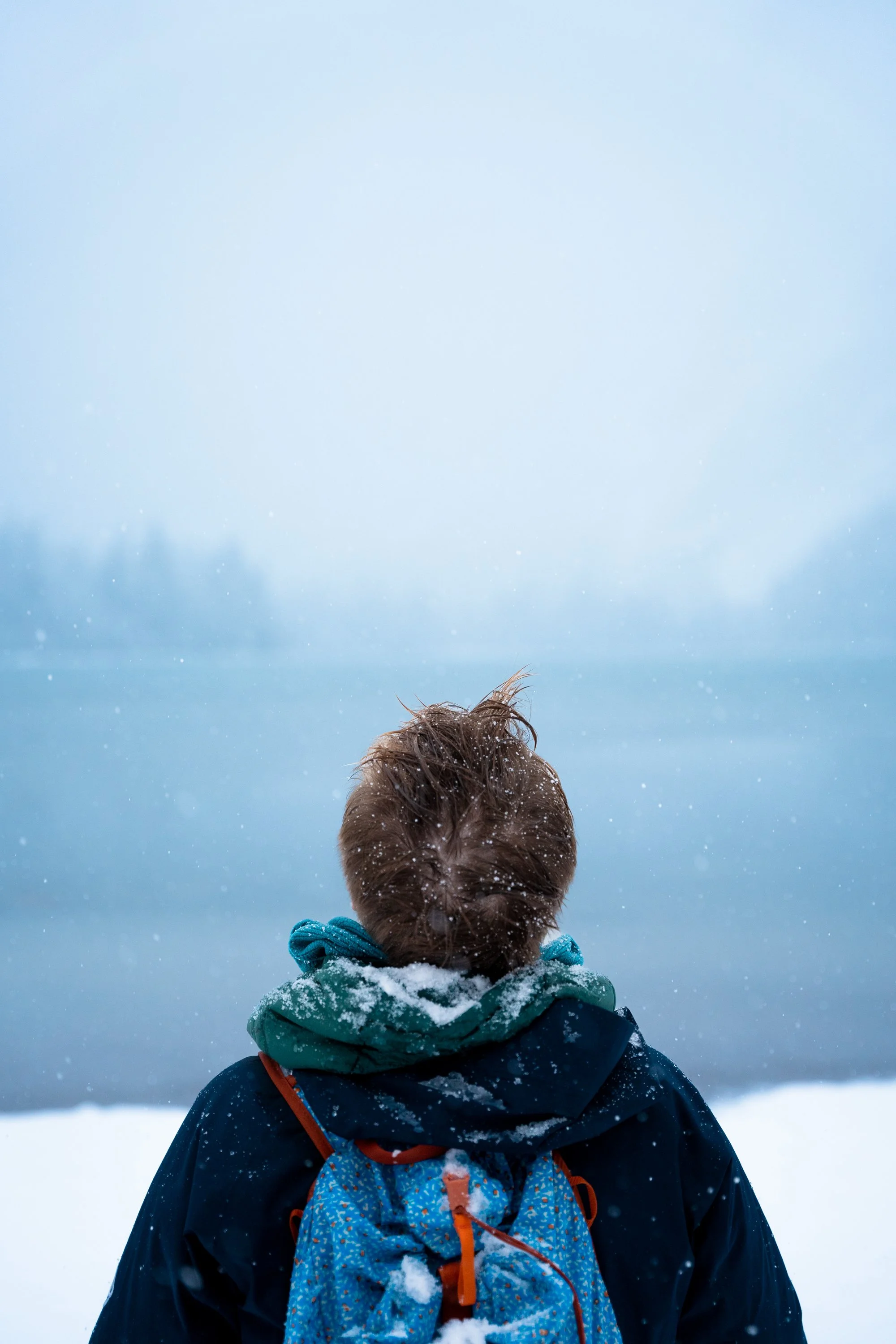 Back of a person wearing a dark winter jacket with a blue patterned backpack, standing in a snowy landscape with snow falling, facing away from the camera.