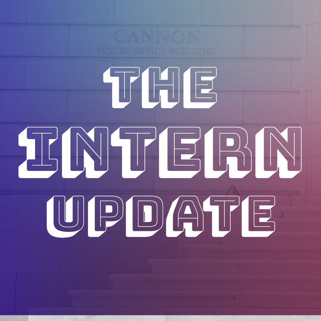 The Intern Update Newsletter