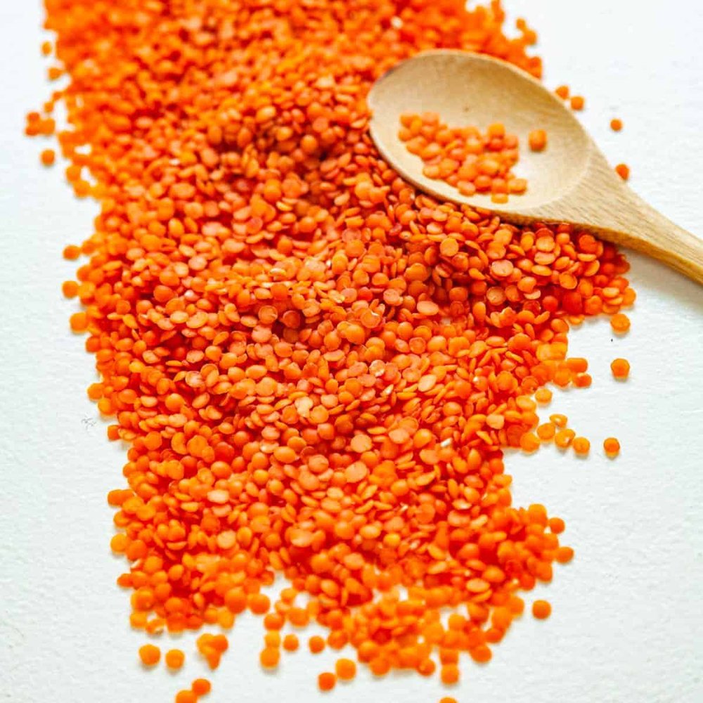 red-lentil-f.jpeg