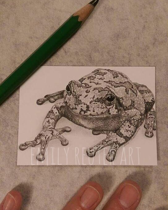 "Grey Camouflage Tree Frog" 2015
2x3 Graphite
*award winner* 2nd place WRAP Tiny Treasures 2016