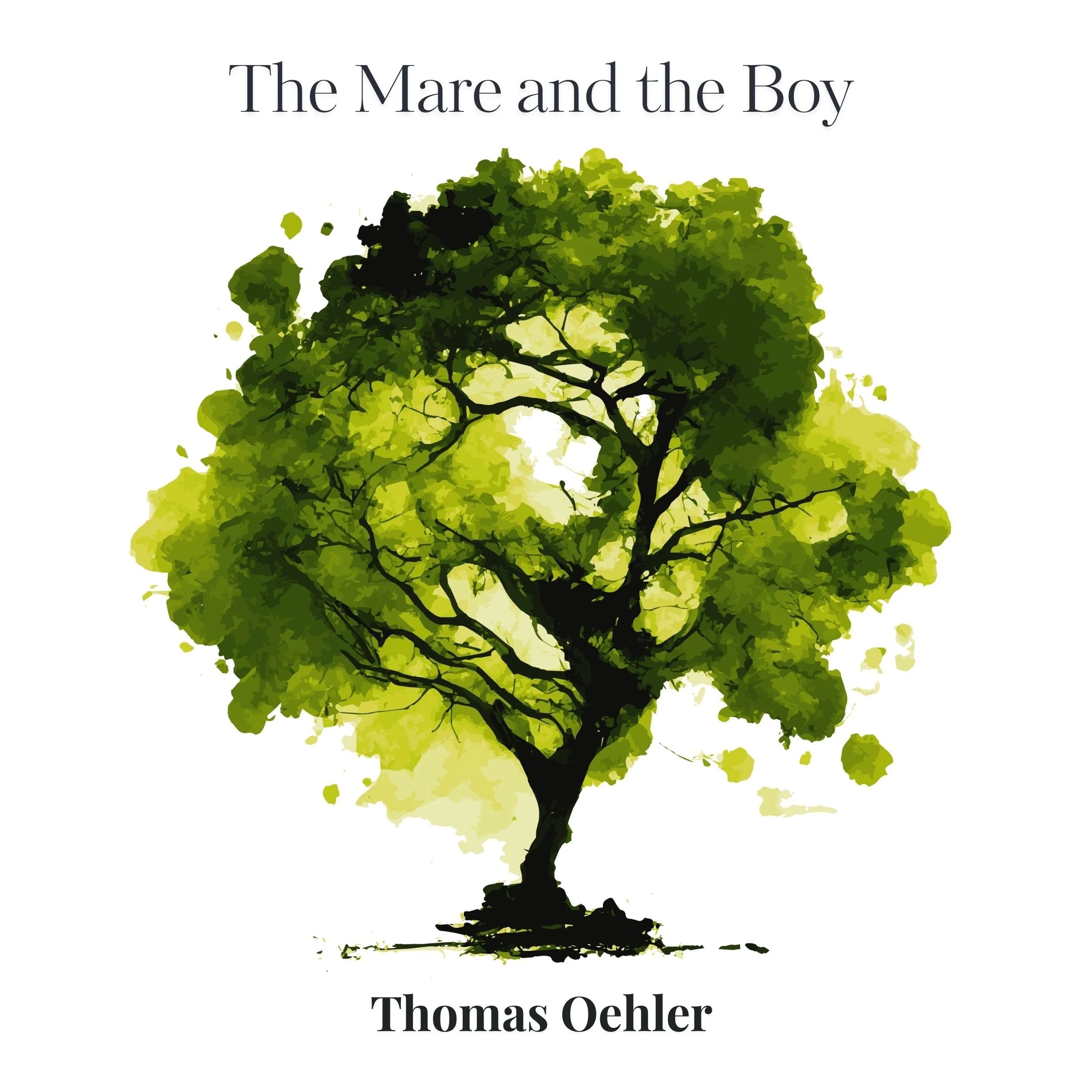 The Mare and the Boy_Cover_3000x3000px.jpg