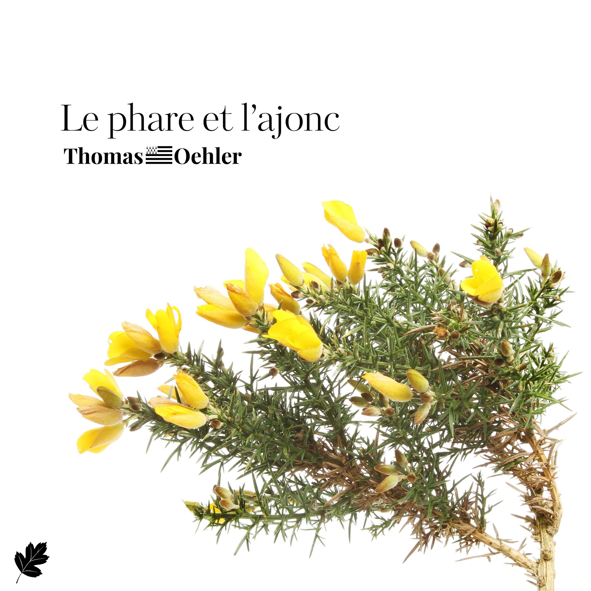 Le phare et l'ajonc_3000x3000_FINAL.jpg