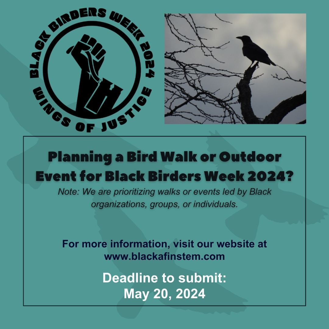 Want us to share your #BlackBirdersWeek event?

Do you have an exciting birding event coming up that you'd like to share with our community? Whether it's a guided birding walk, a virtual birding event, or a local birding club meeting, we want to hear