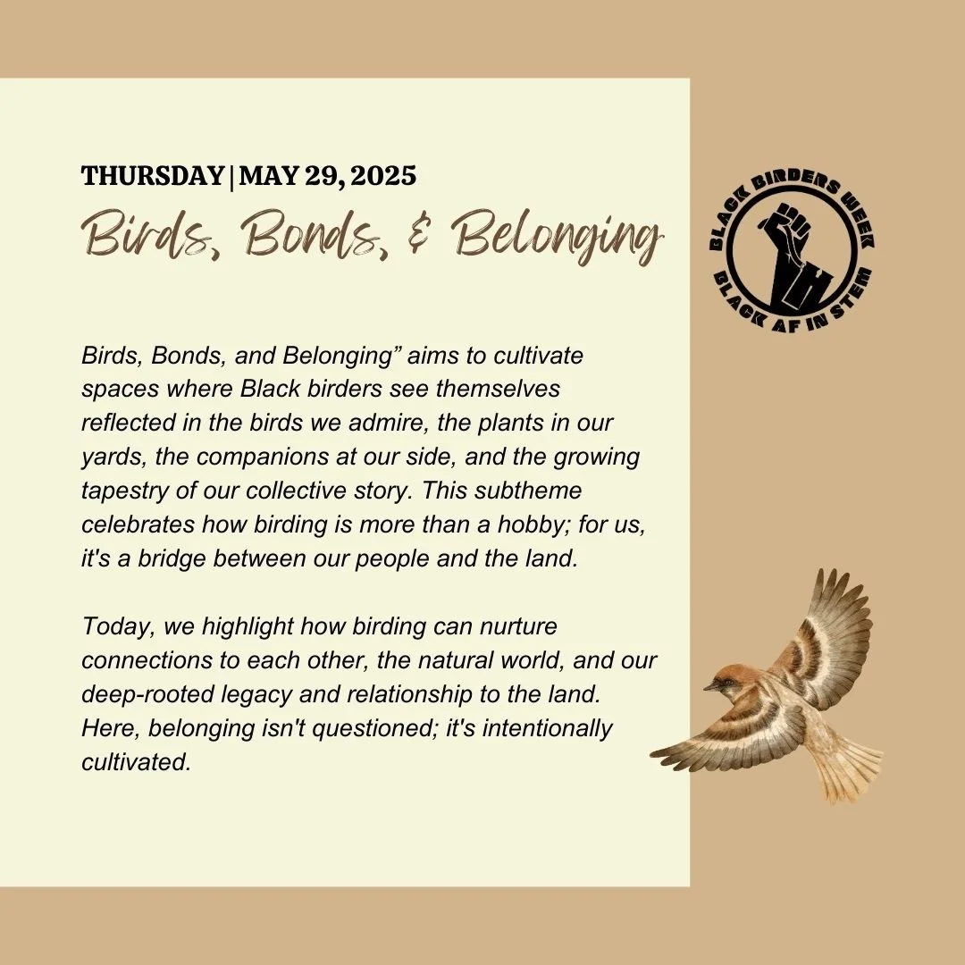 BBW25_5BIRDS,BONDS, & BELONGING.jpg