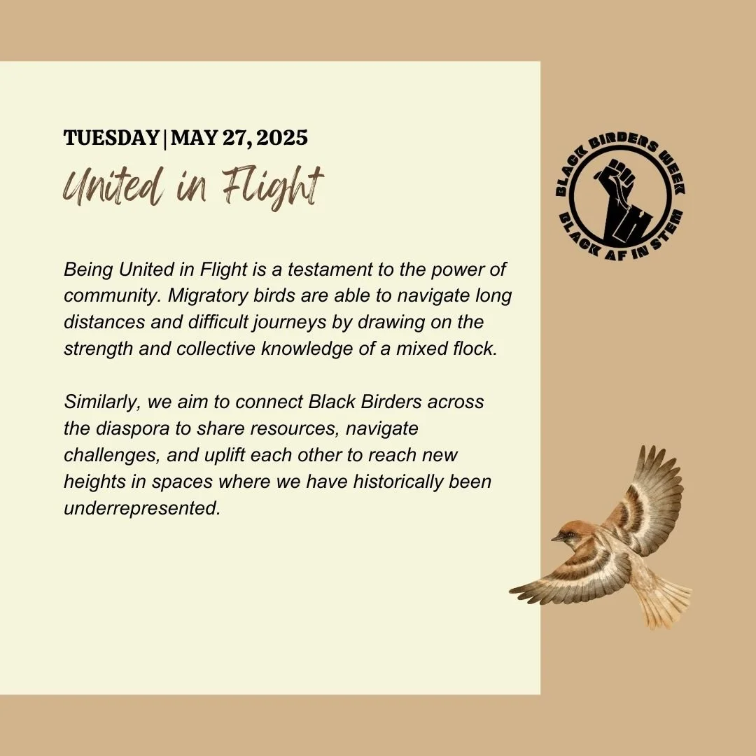 BBW25_3UNITED IN FLIGHT.jpg