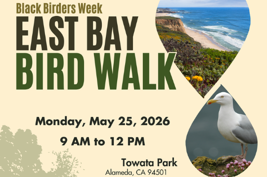 BBW East Bay Bird Walk May 25 9 am to 12 pm Towata Park
