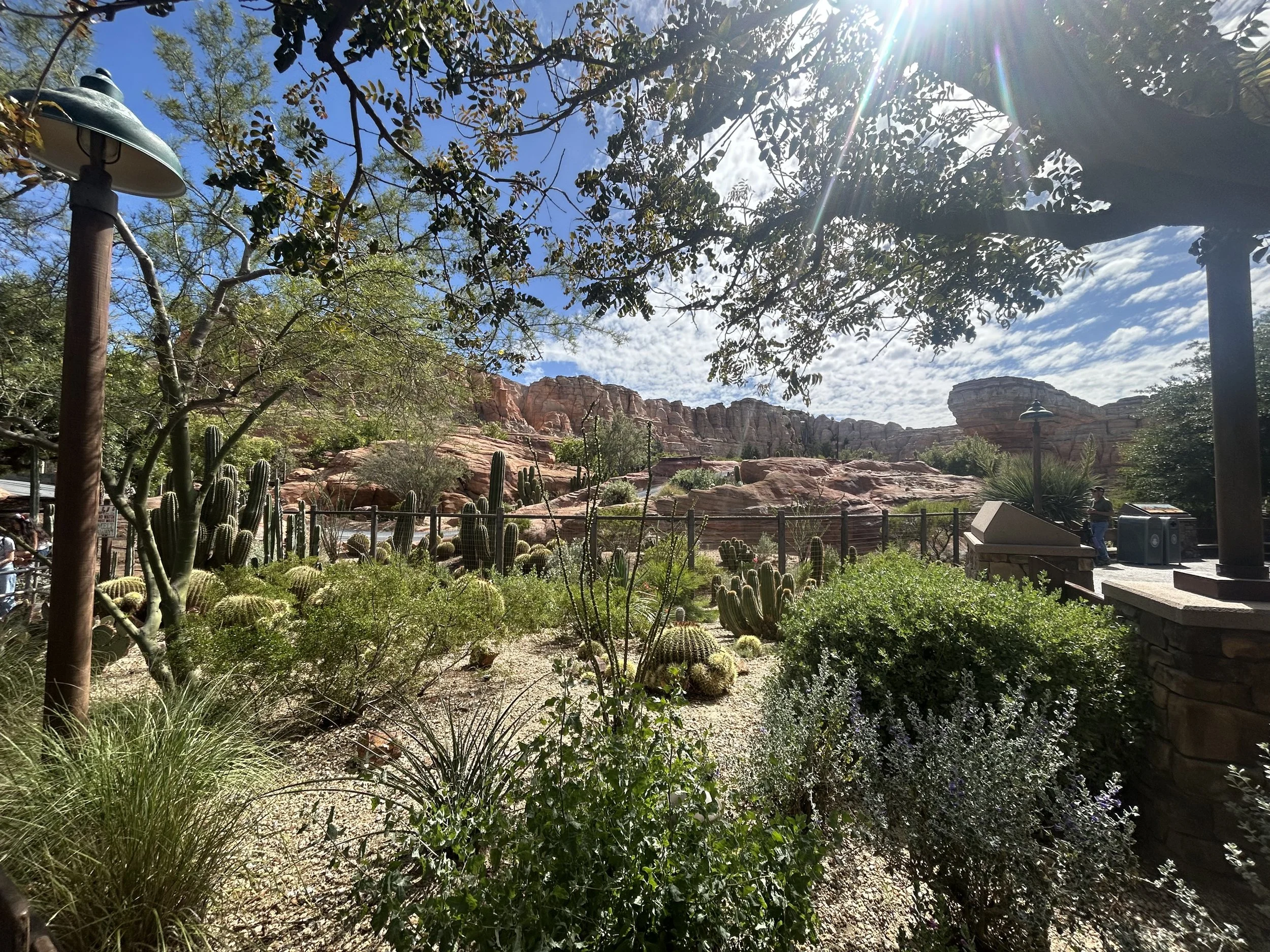 IMG_7820JPG.JPG