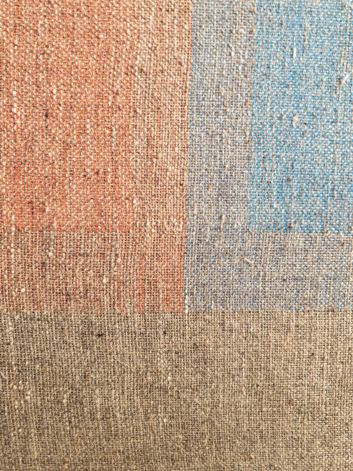 Susanna_Costantini_Flag11d3.jpg